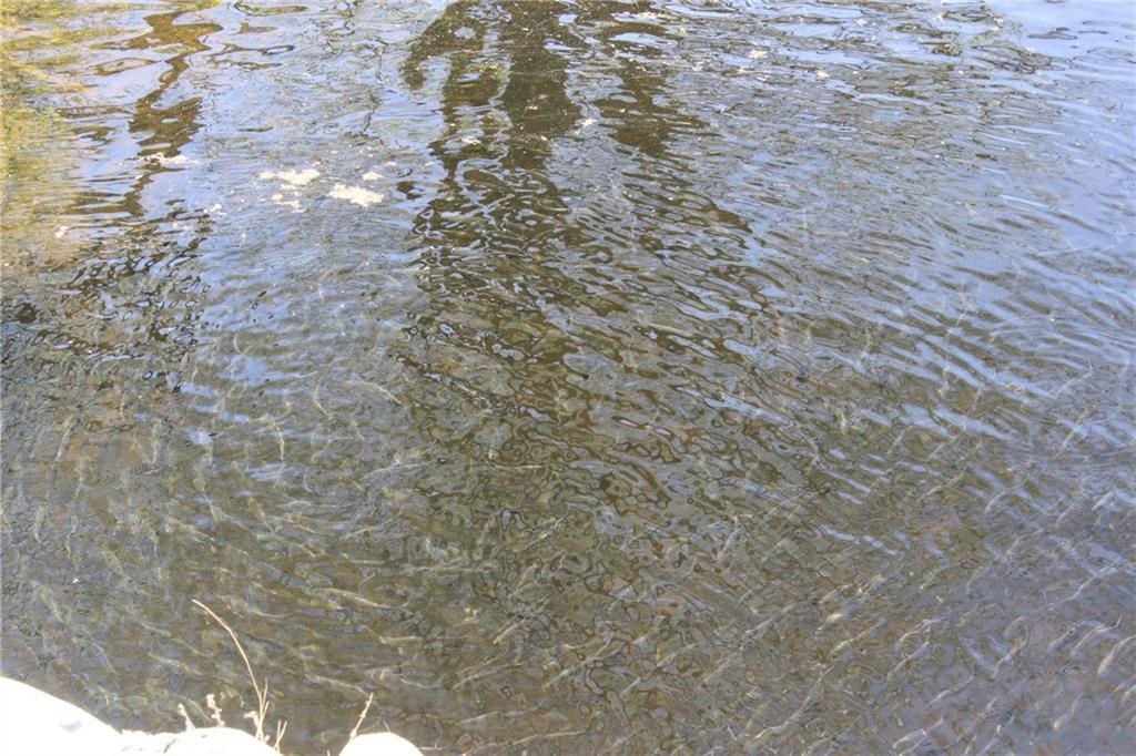 0 Upper Falls Road Orland, ME 04472 - Photo 10 of 15 Photo