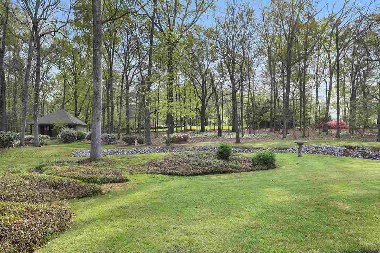 112 Little Creek Road Ridgeland, MS 39157 - Photo 4 of 45 Photo 4