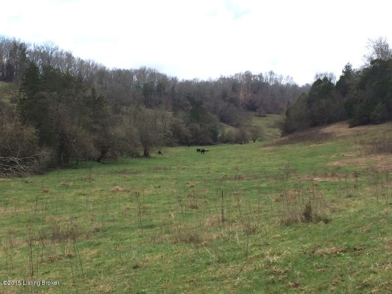 11831 Center Point Road Tompkinsville, KY 42167 - Photo 1 of 19 111 (Custom)
