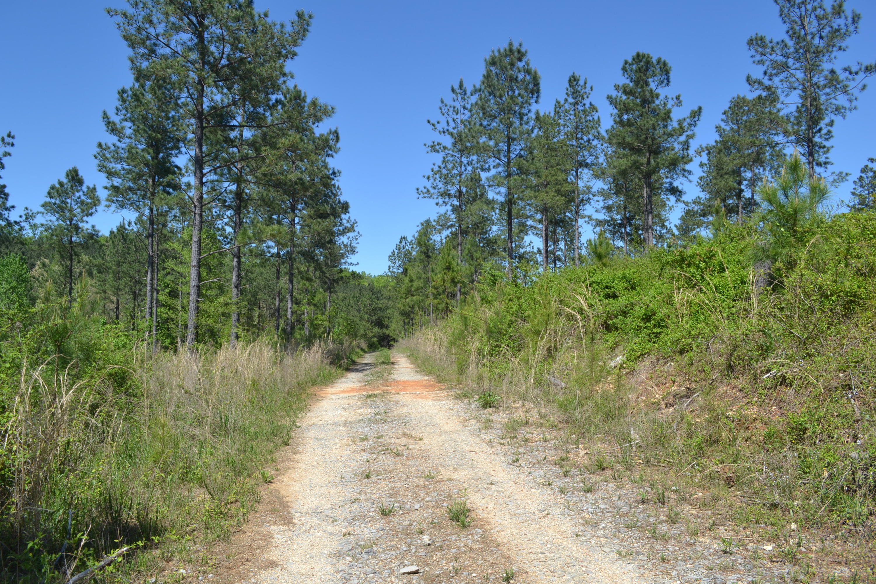 Ten Mile Tn 37880 Road Decatur, TN 37322 - Photo 2 of 6 Hon 224 ac_1916Hon 224 ac