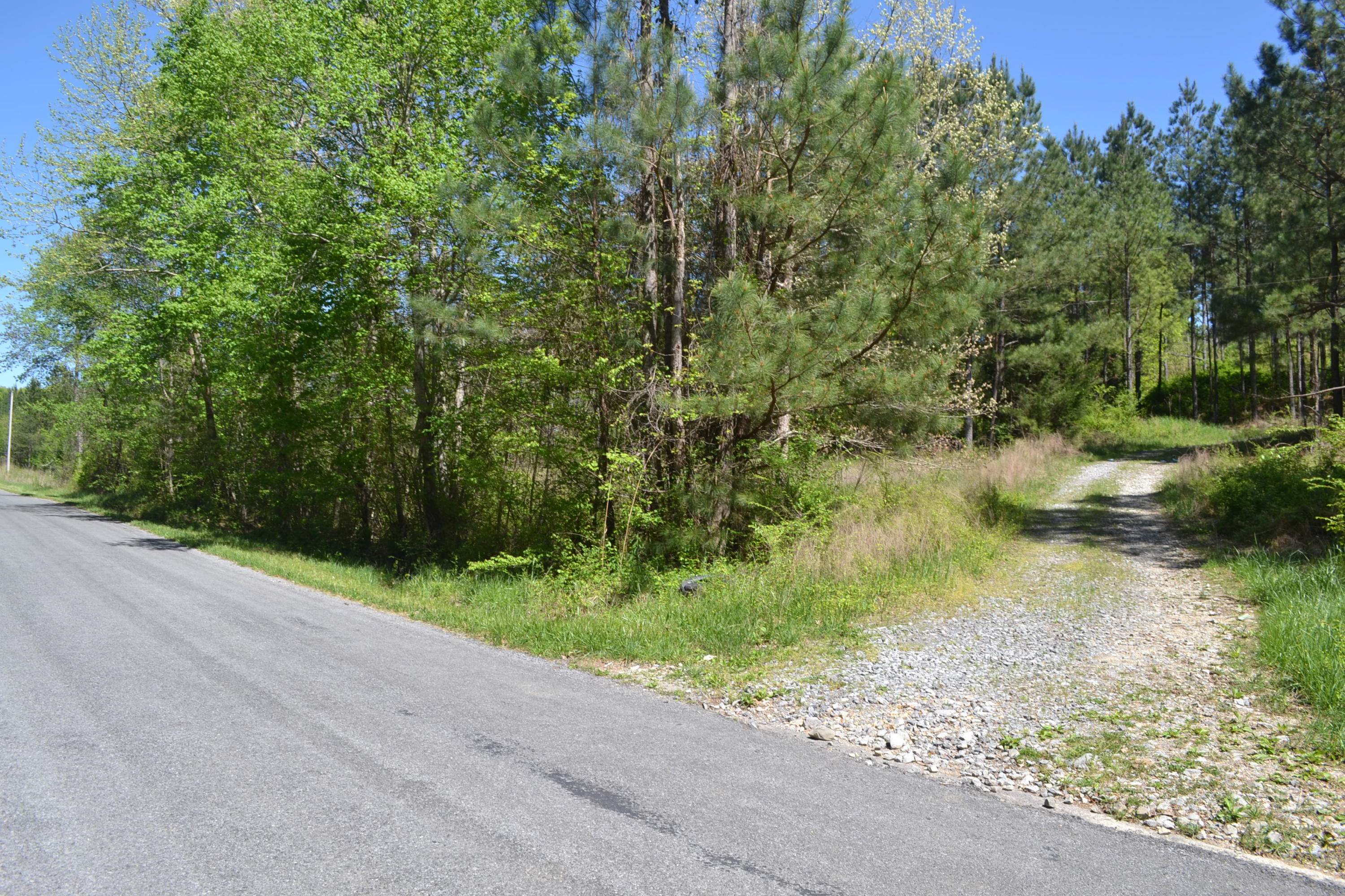 Ten Mile Tn 37880 Road Decatur, TN 37322 - Photo 6 of 6 Hon 224 ac_1927Hon 224 ac