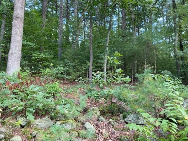 Lot A Lot A Reimers Road Monson, MA 01057 - Photo 2 of 2 Gallery Image 2