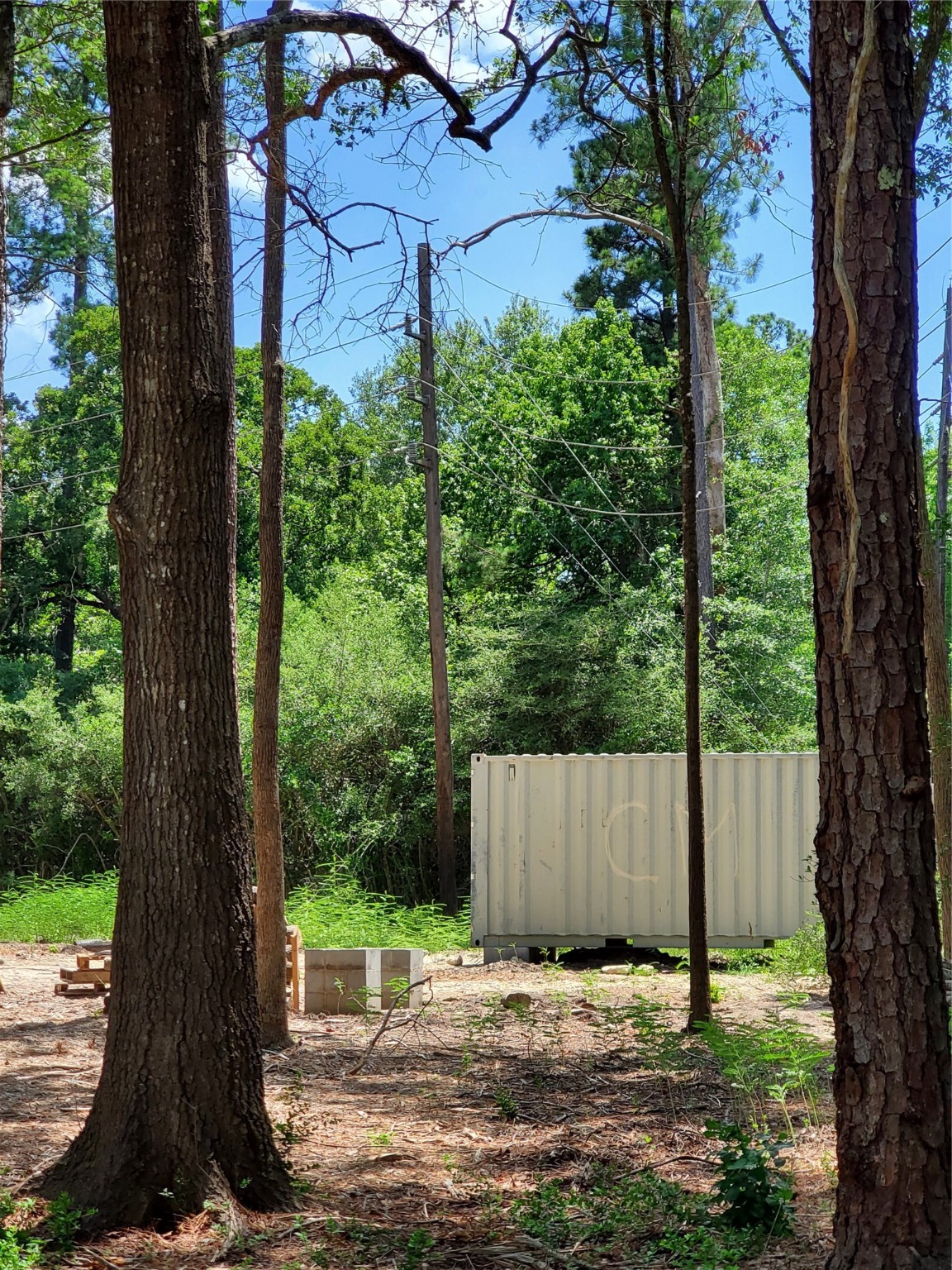 0 Cayman Way Humble, TX 77338 - Photo 4 of 9 a view of a garden with a tree