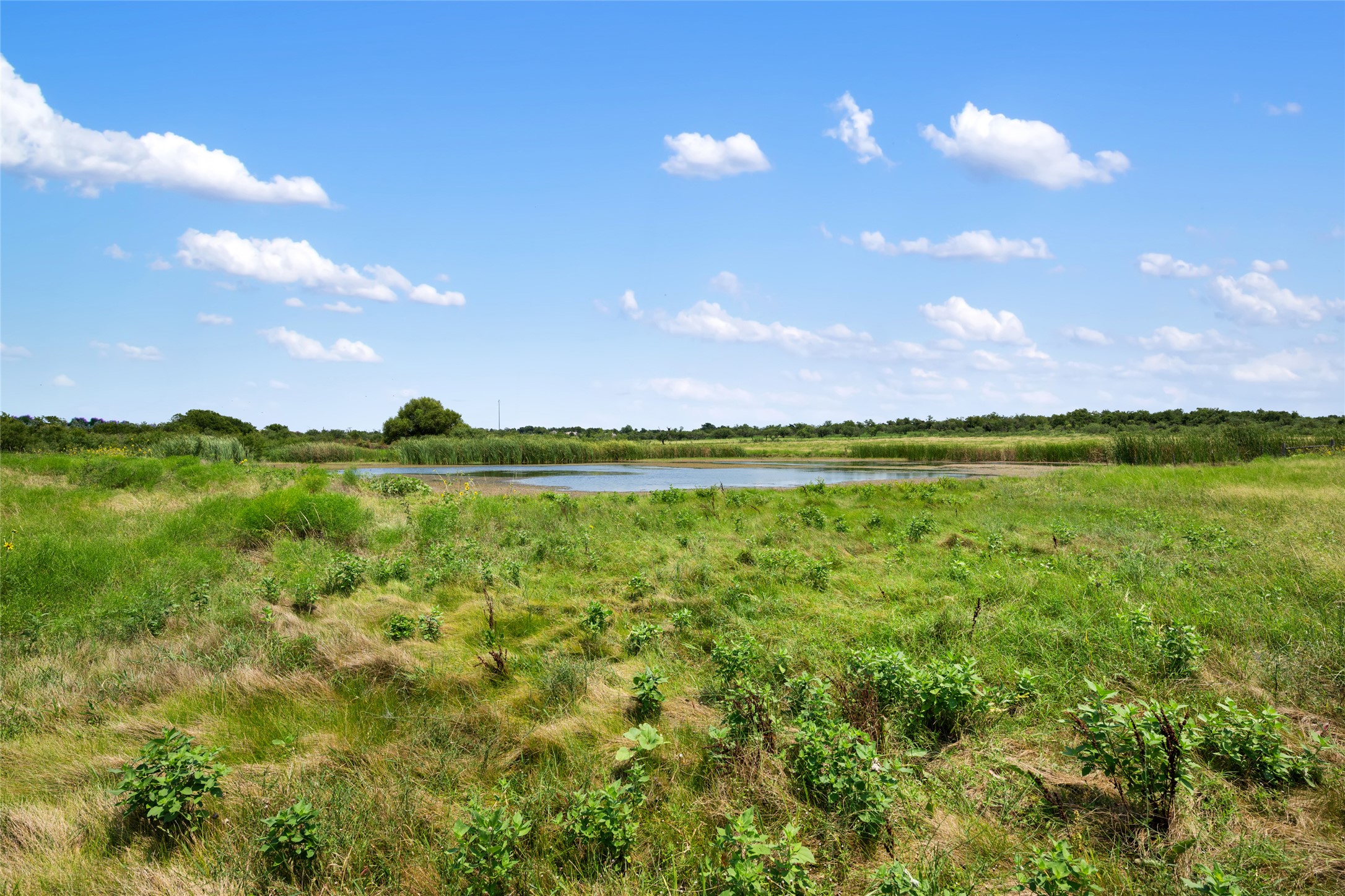 1775 County Road 305 Jarrell, TX 76537 - Photo 6 of 11 View of local wilderness with a nearby body of water and rural landscape