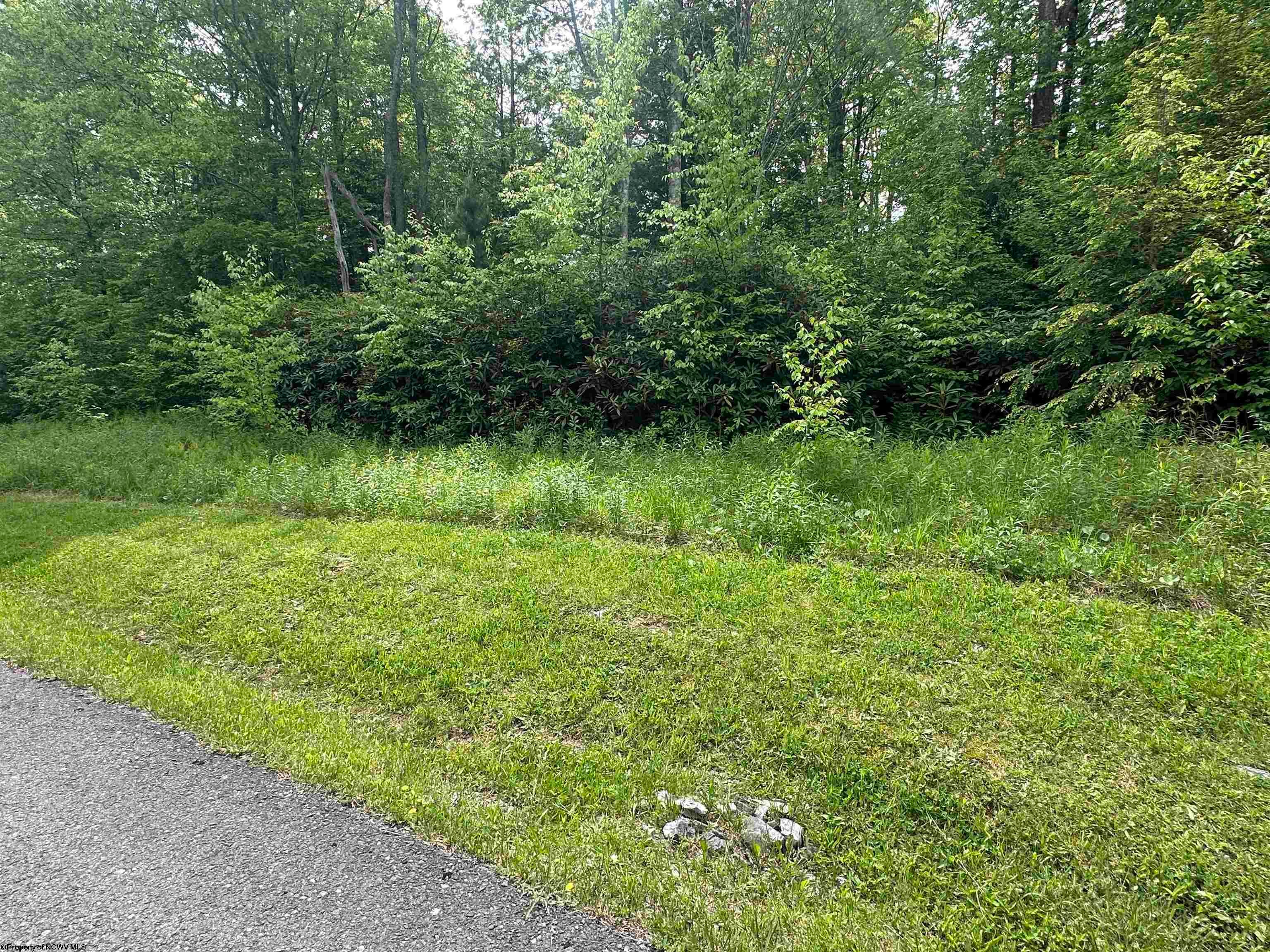 Lot 7 Tuscan Ridge Road Davis, WV 26260 - Photo 9 of 13 Gallery Image 9