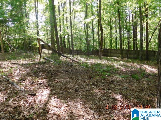 412 Windchase Way Birmingham, AL 35242 - Photo 35 of 36