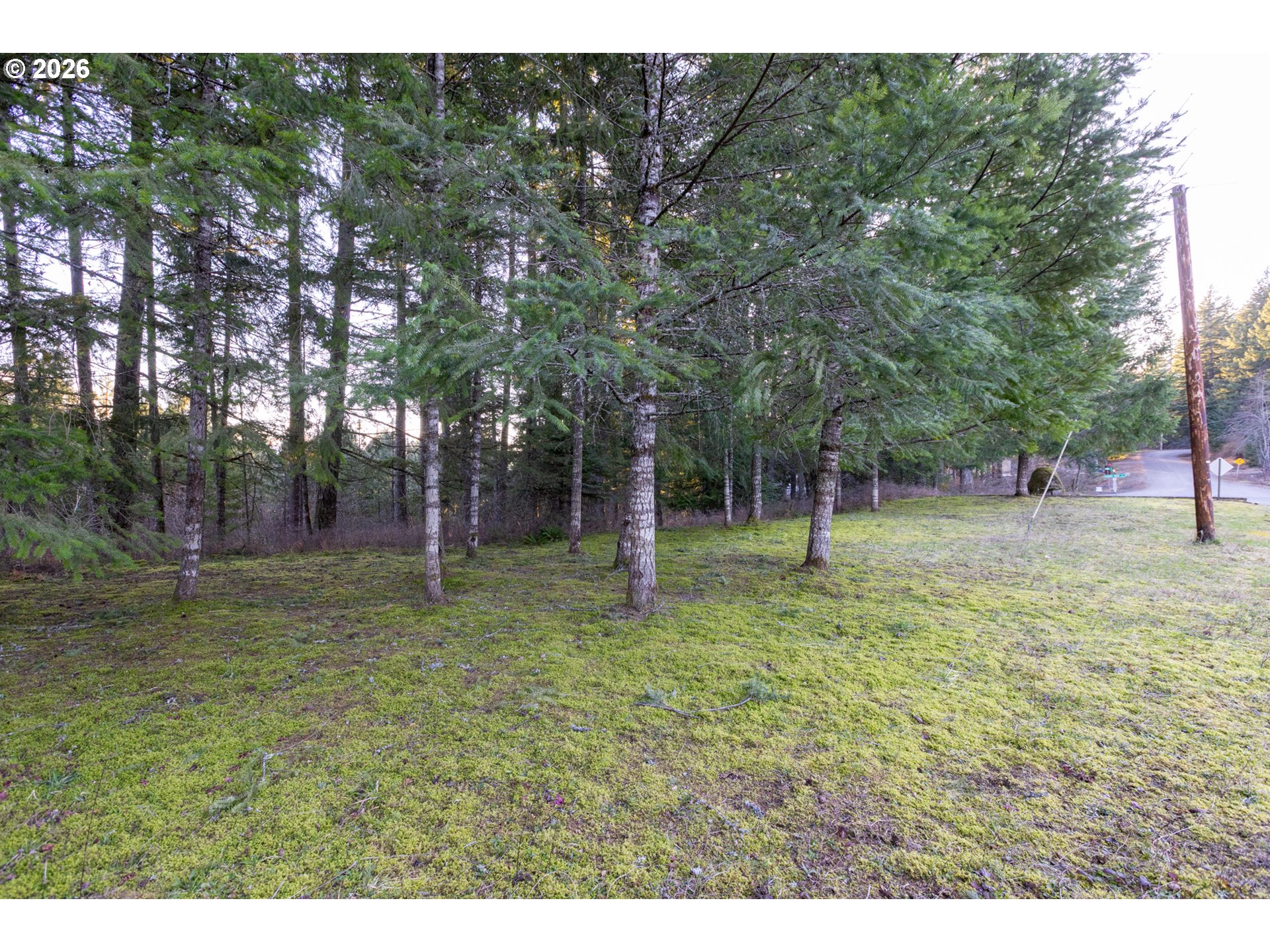 Loop Road Stevenson, WA 98648 - Photo 23 of 28