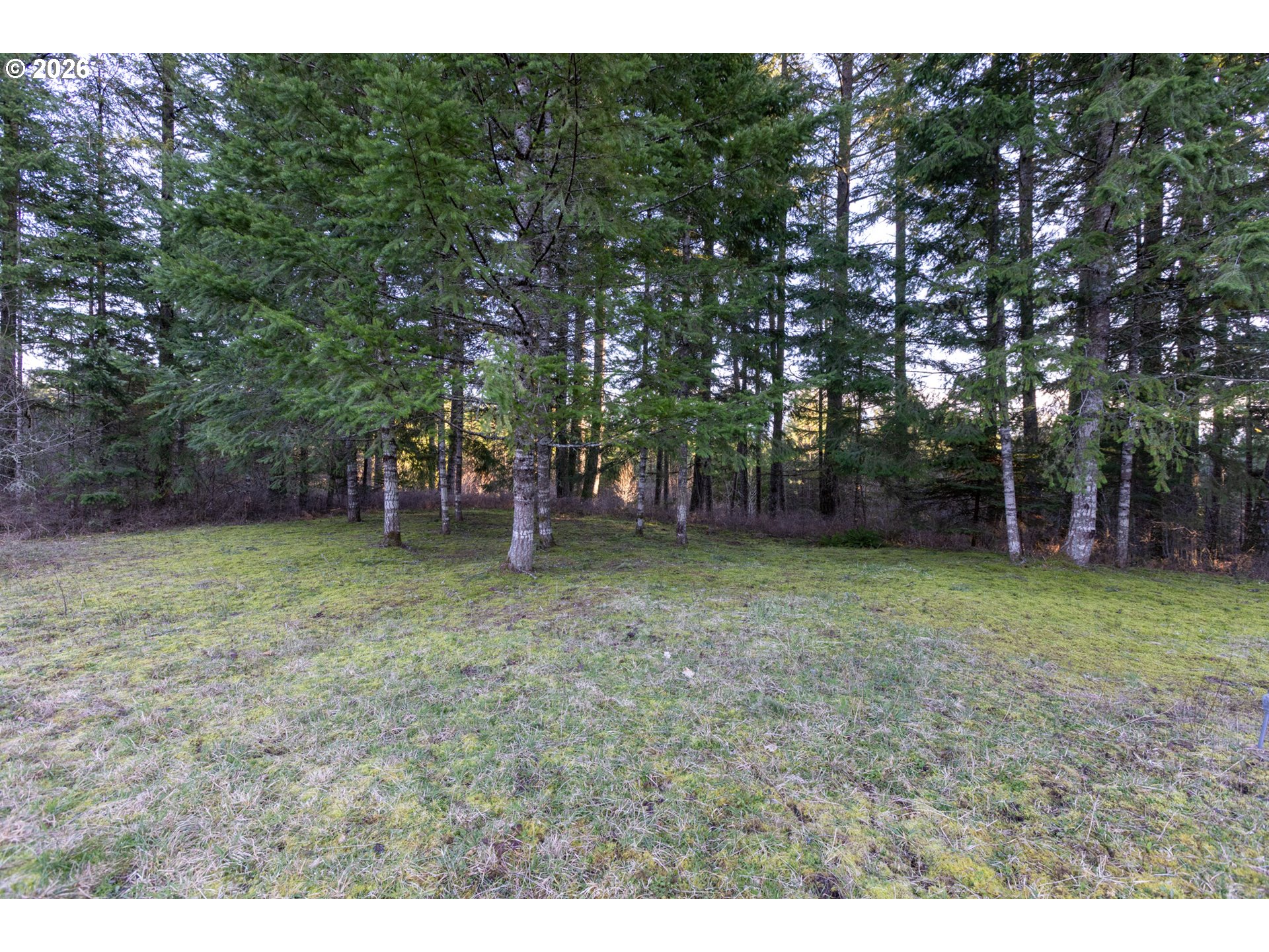 Loop Road Stevenson, WA 98648 - Photo 24 of 28