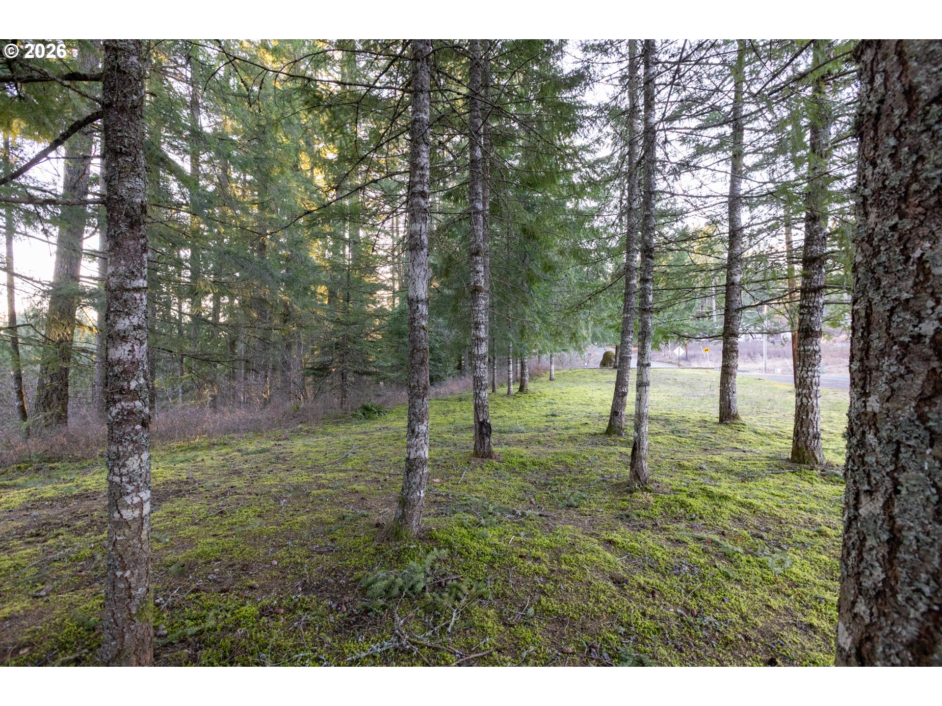 Loop Road Stevenson, WA 98648 - Photo 25 of 28