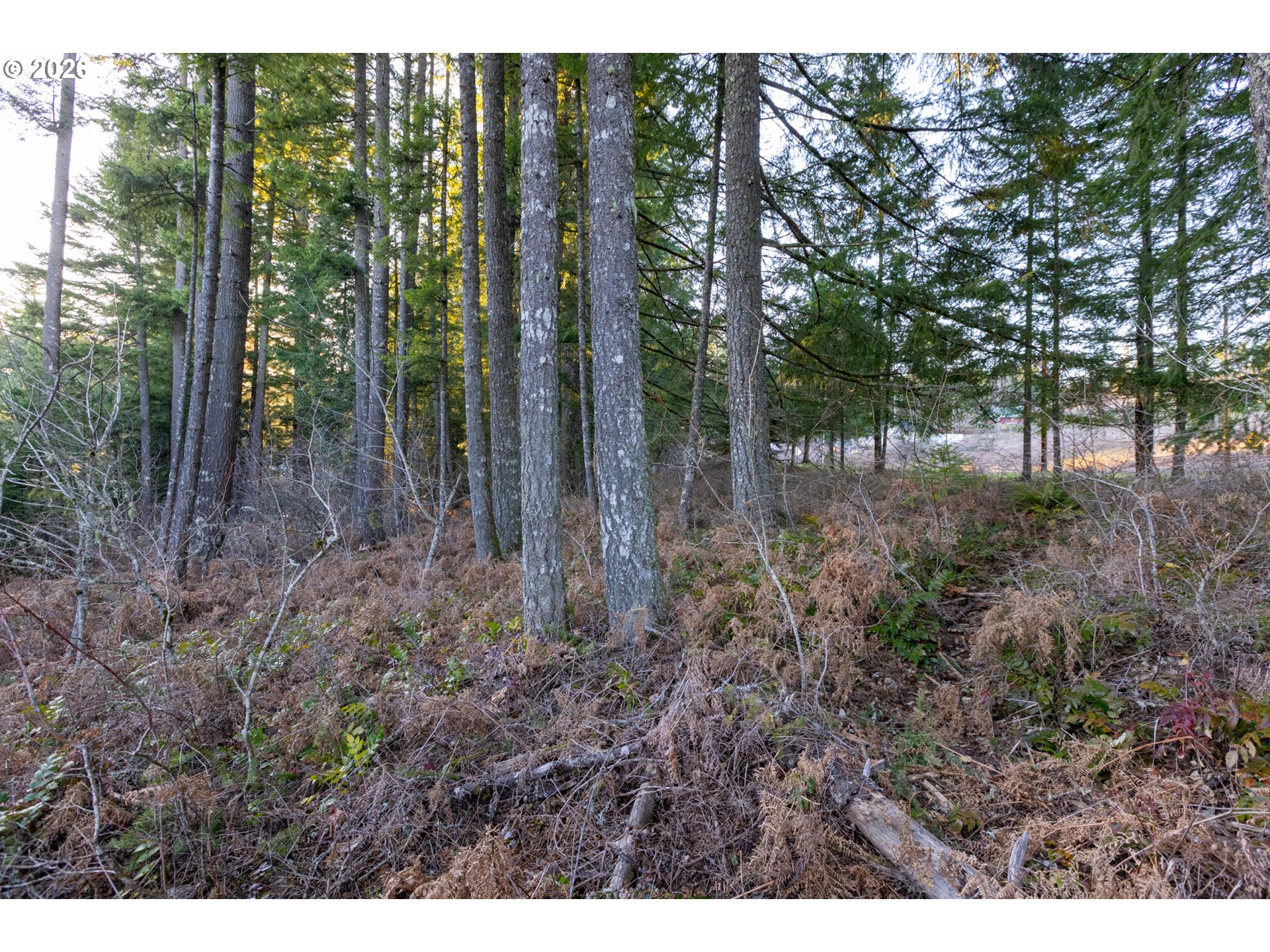 Loop Road Stevenson, WA 98648 - Photo 27 of 28