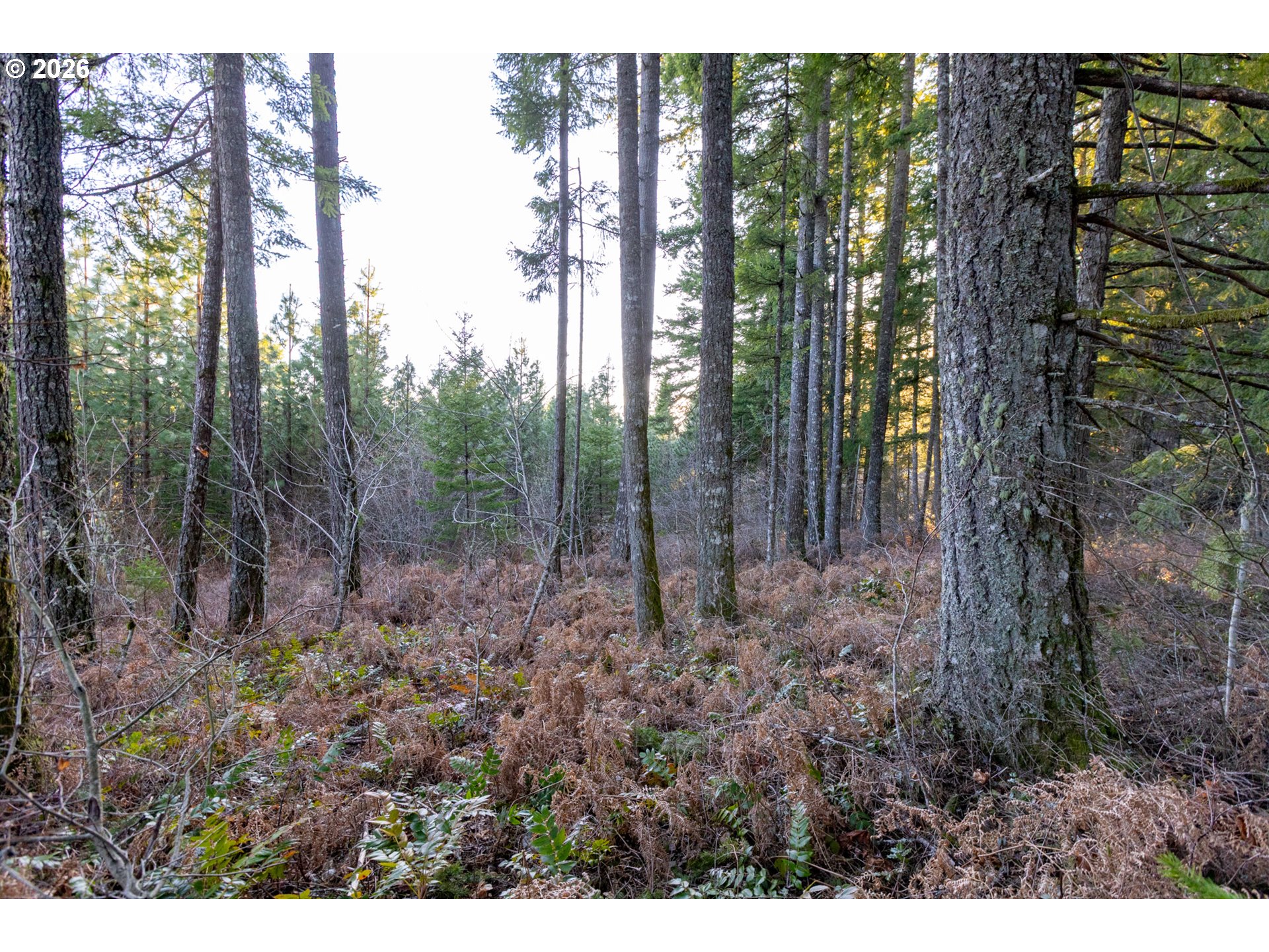 Loop Road Stevenson, WA 98648 - Photo 28 of 28