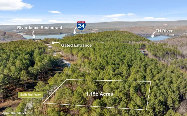 a view of a yard with trees