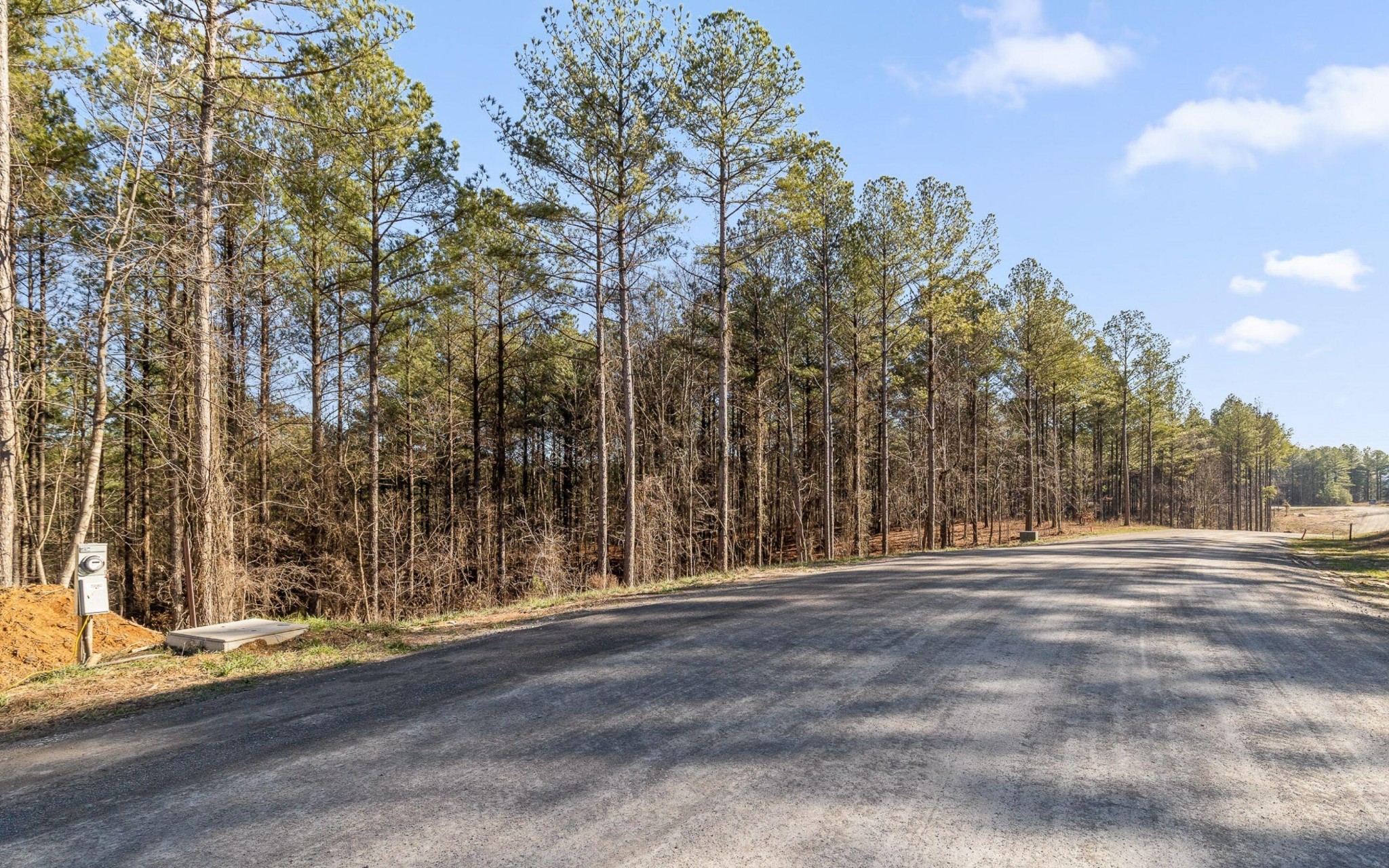 1125 Split Rail Way Guild, TN 37340 - Photo 9 of 26 a view of outdoor space with trees