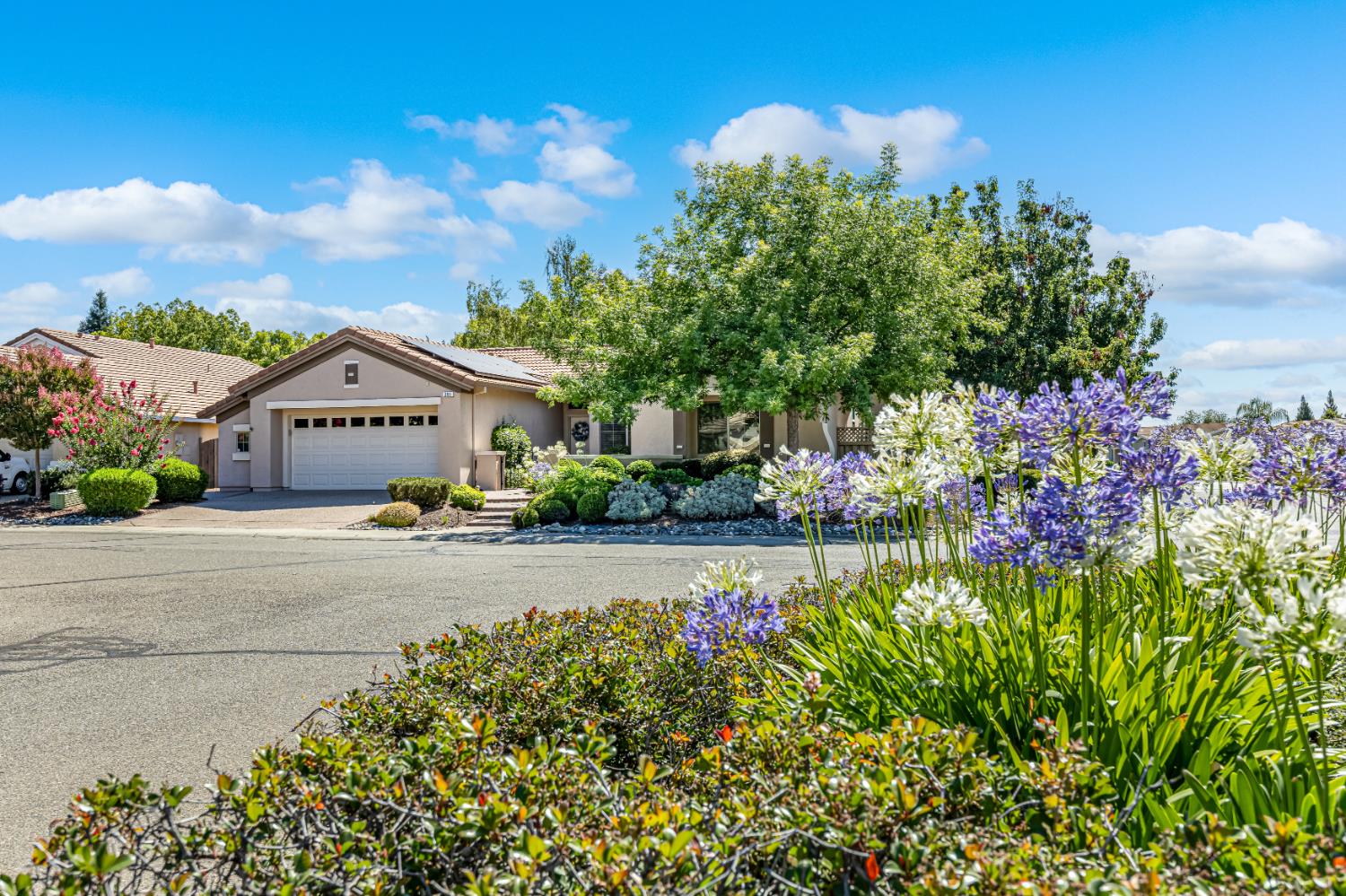 300 Lariat Loop Lincoln, CA 95648 - Photo 36 of 49