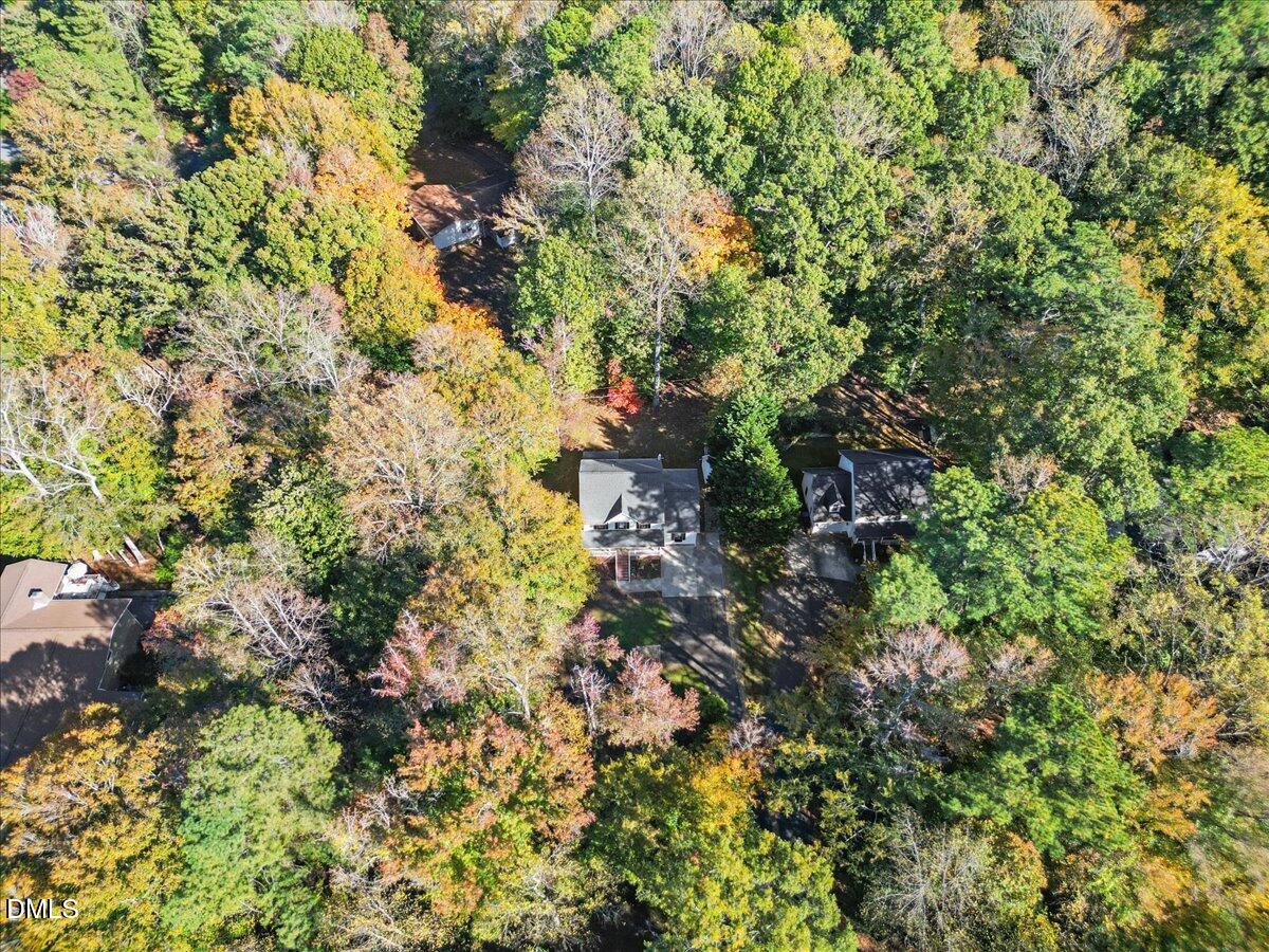 2708 Ferrand Drive Durham, NC 27705 - Photo 42 of 47 a plant view