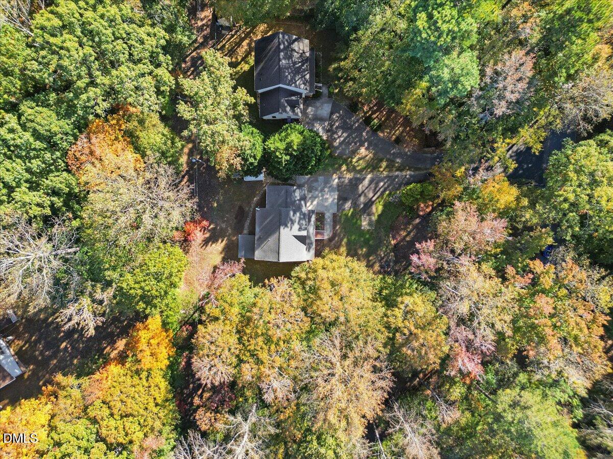 2708 Ferrand Drive Durham, NC 27705 - Photo 43 of 47 a plant that is in a yard