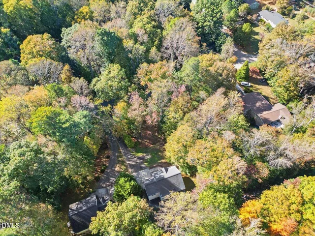 a plant that is in a yard