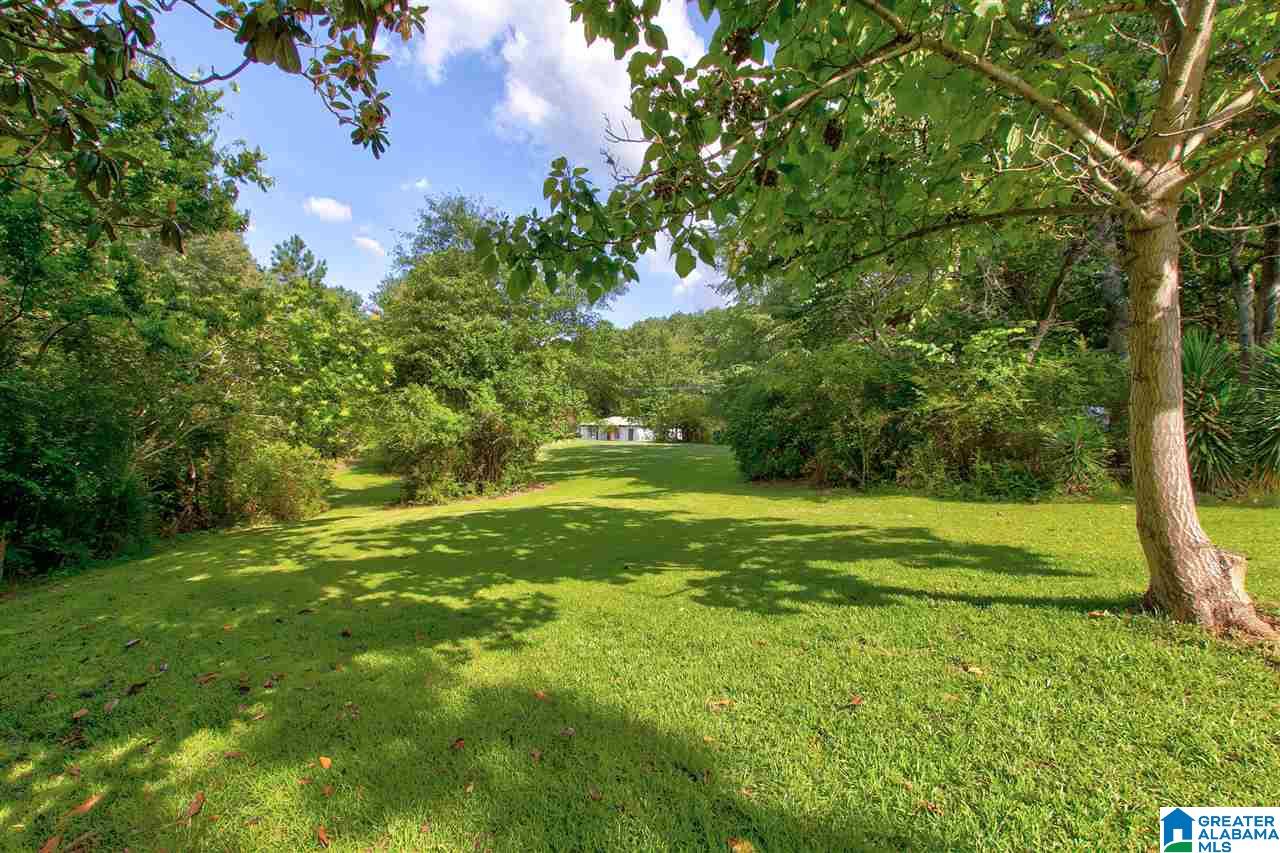 63756 Highway 231 Cleveland, AL 35049 - Photo 20 of 20
