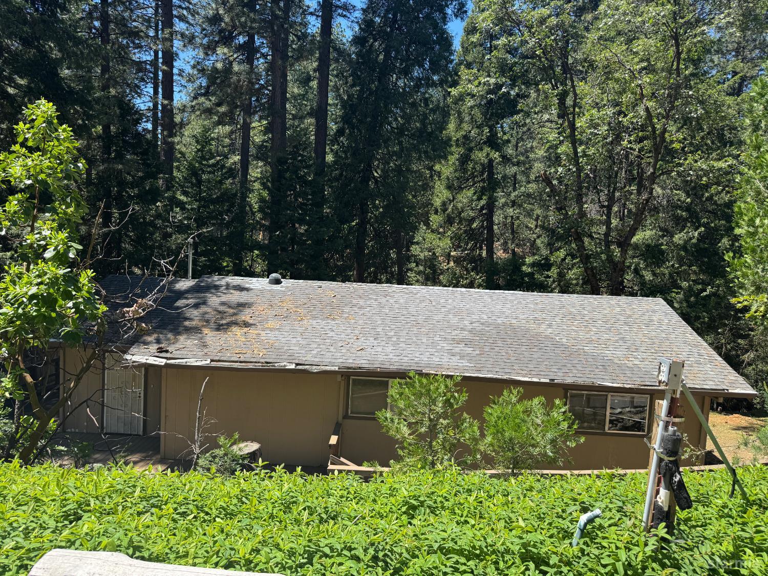 6001 Calico Court Pollock Pines, CA 95726 - Photo 12 of 14