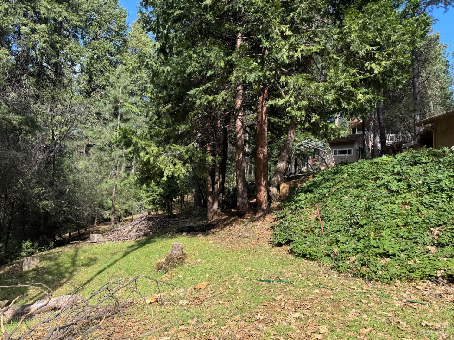 6001 Calico Court Pollock Pines, CA 95726 - Photo 5 of 14