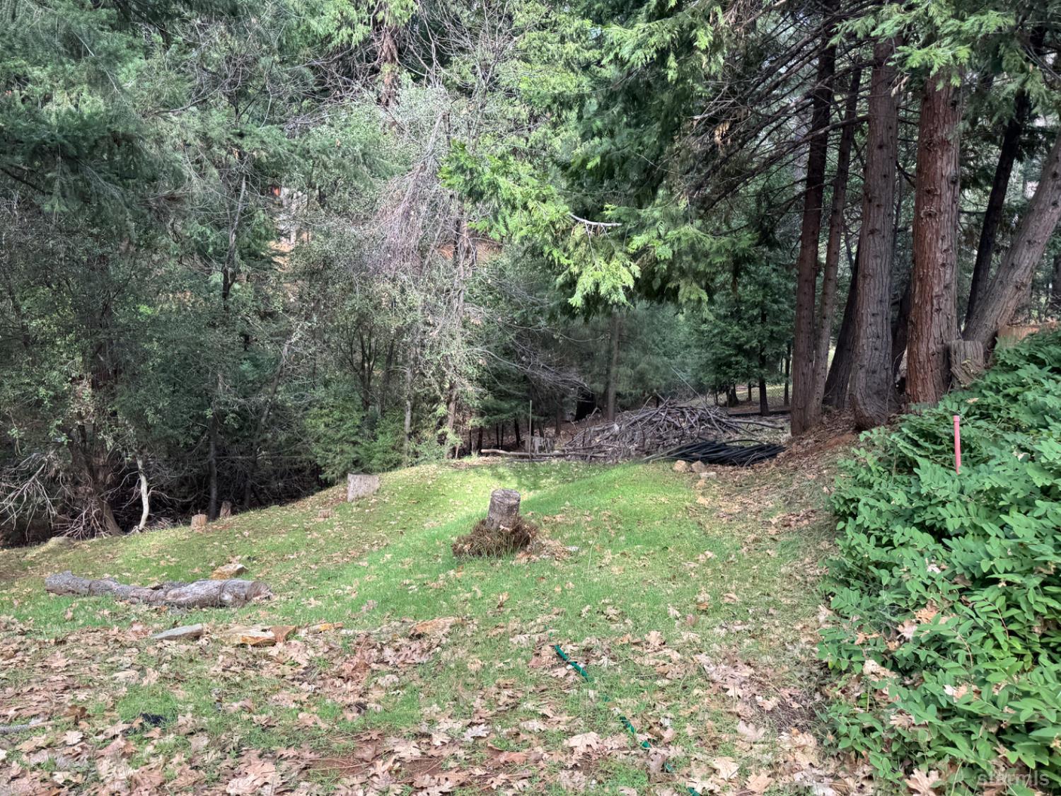 6001 Calico Court Pollock Pines, CA 95726 - Photo 8 of 14