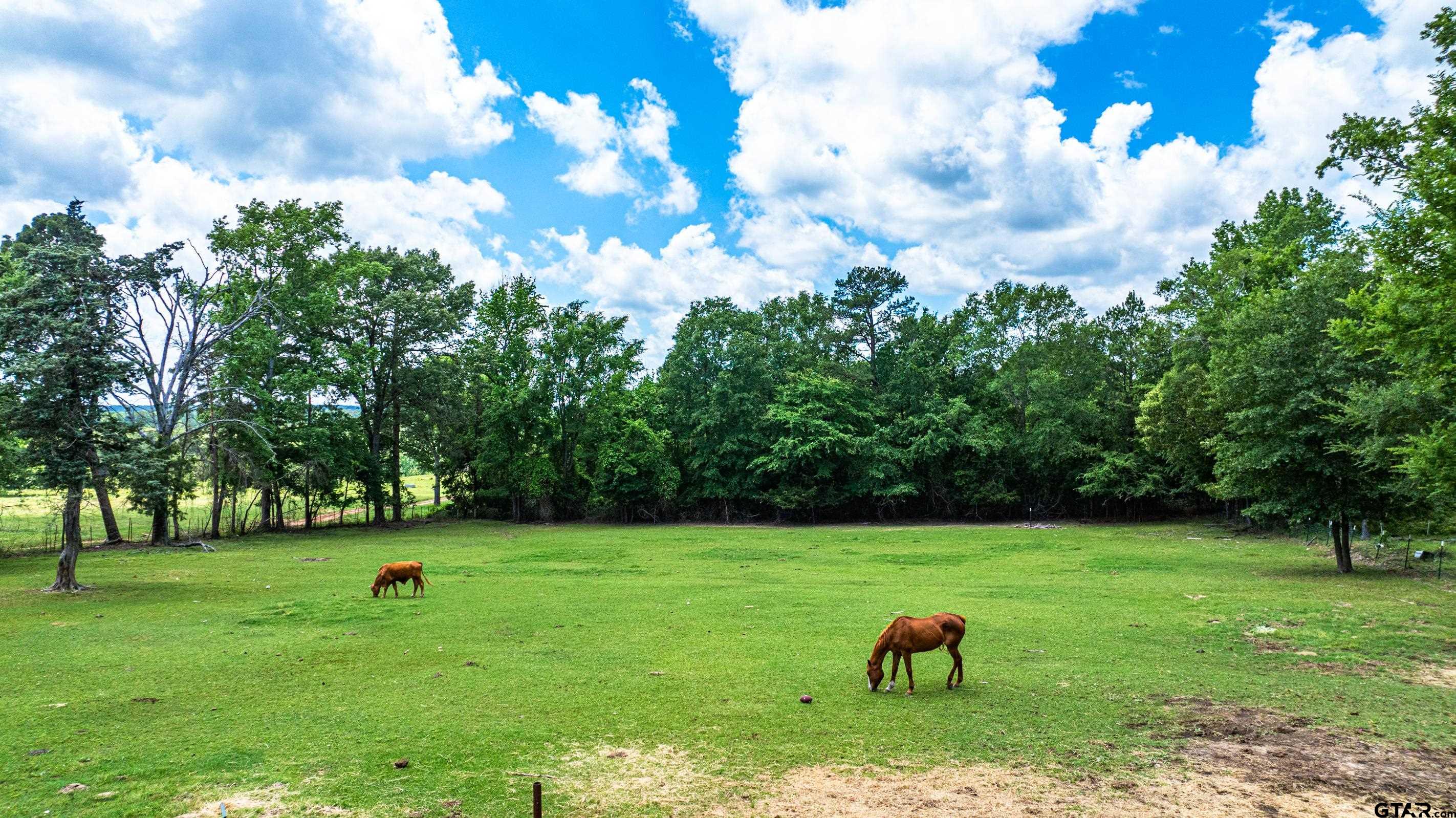 2536 Elk Road Gilmer, TX 75644 - Photo 23 of 32 a view of a golf course with a garden