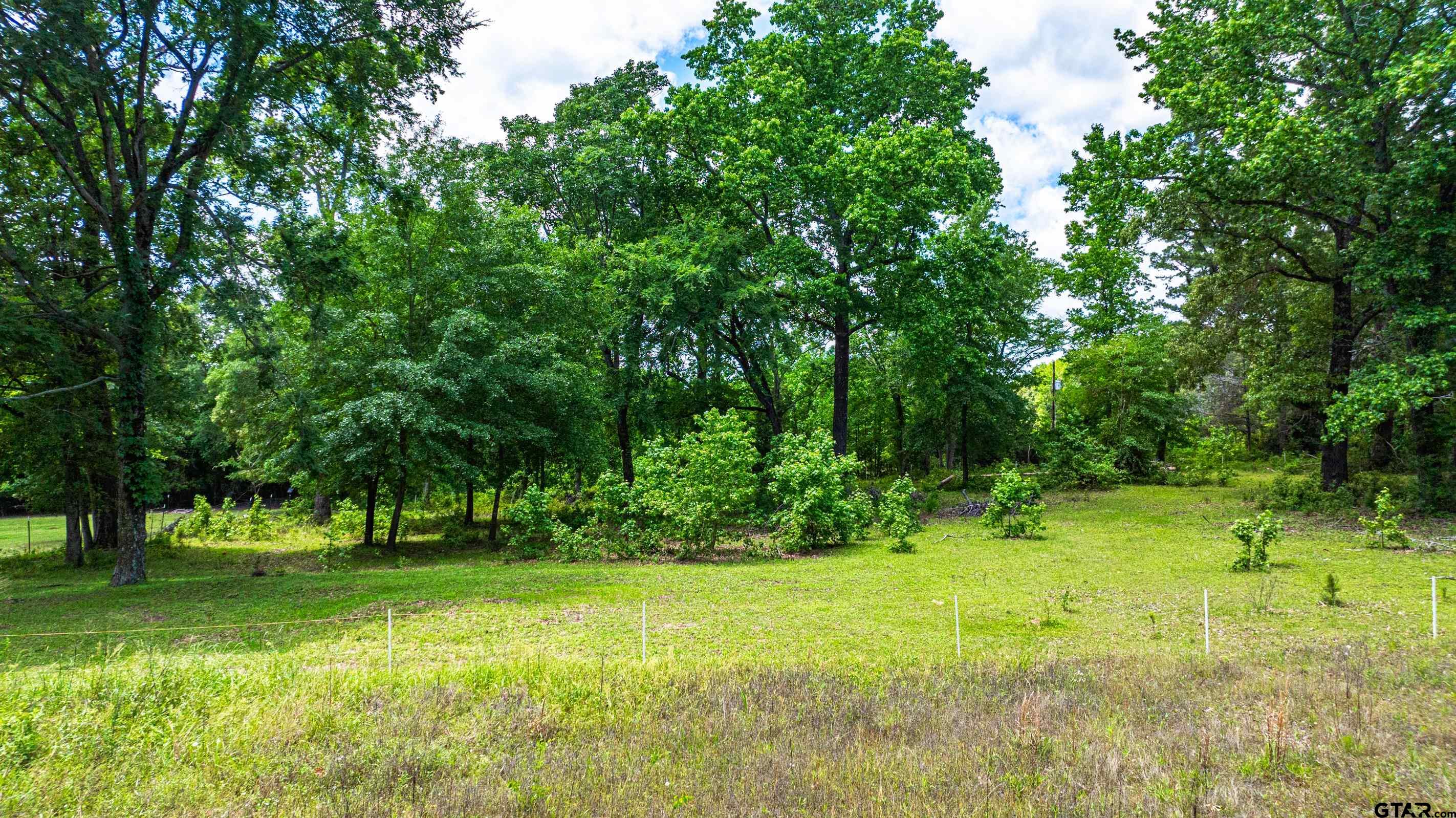 2536 Elk Road Gilmer, TX 75644 - Photo 24 of 32 a view of park space