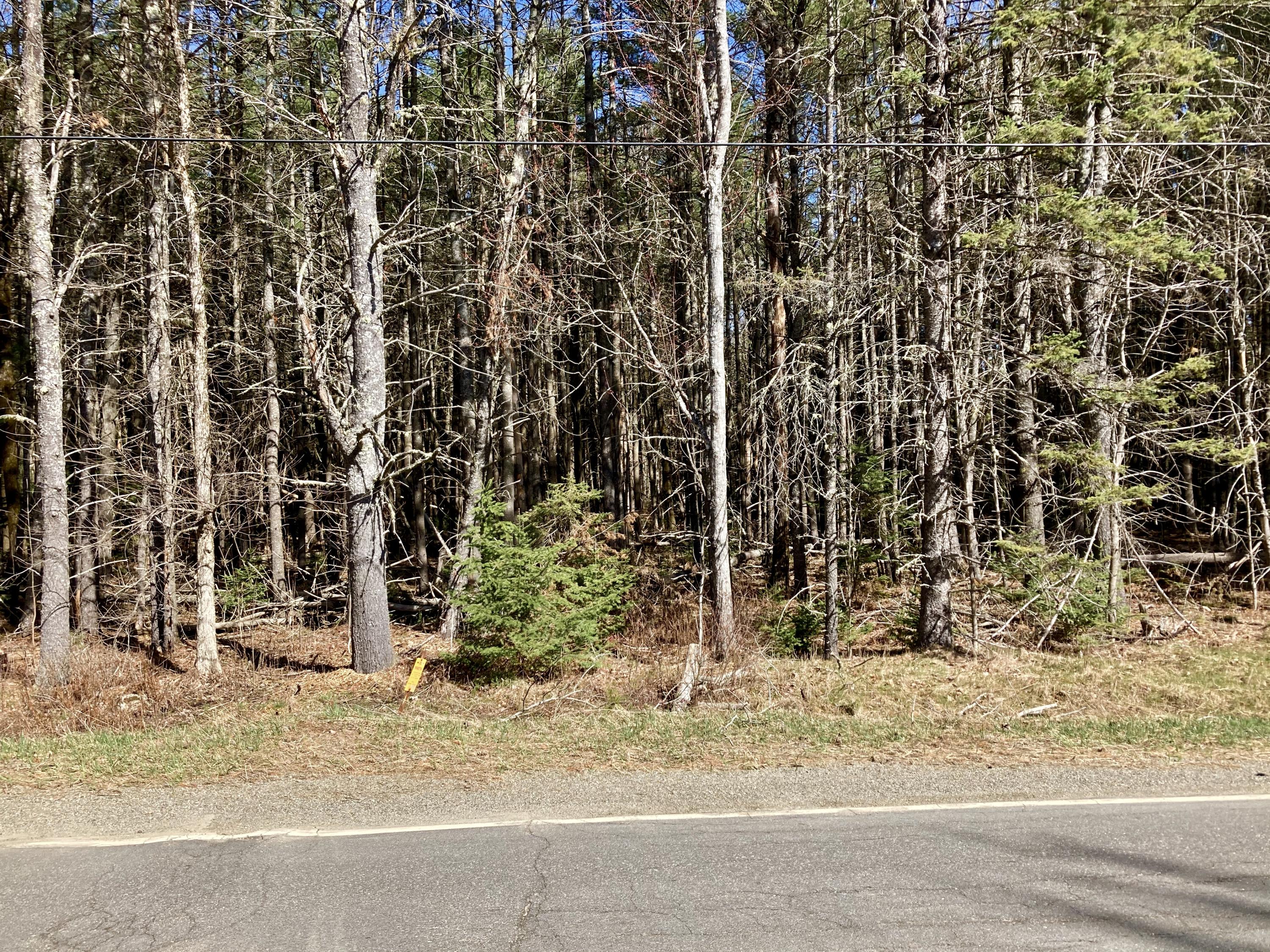 Map4-lot6 East Newport Road East Stetson, ME 04488 - Photo 1 of 1 2667D3DF-5809-4088-BB2B-576162F427C7_1_2