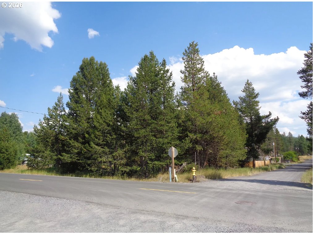 a view of a roadside