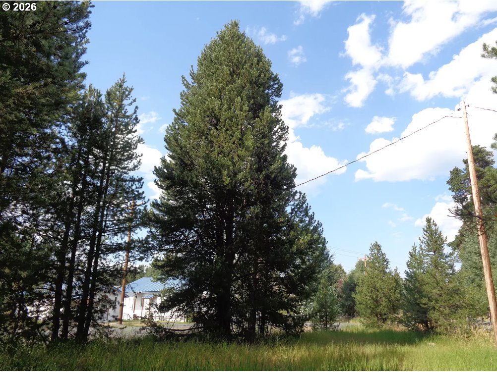 8800 Main Street, Unit 2 Crescent, OR 97733 - Photo 2 of 8 a view of a lake with houses in the background