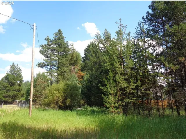 a view of a green field with a tree