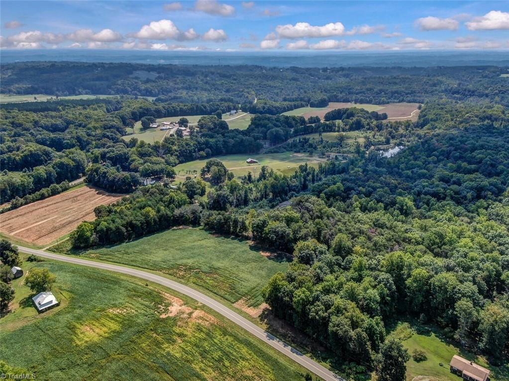 Lot I Lot I Estes Road Ruffin, NC 27326 - Photo 3 of 5