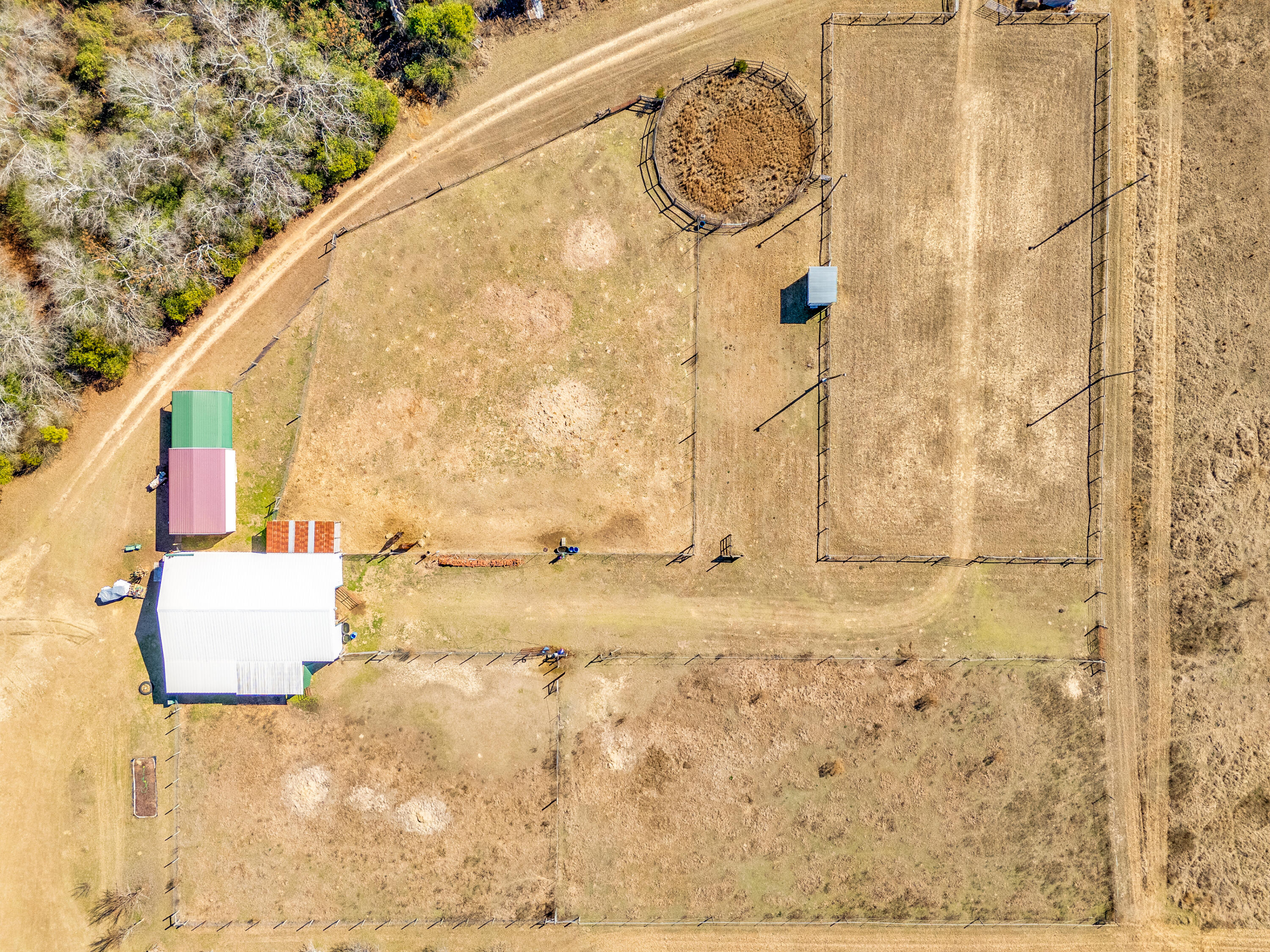1080 Fox Young Road Wagener, SC 29164 - Photo 51 of 65 67-print-2026 02 16 - 1080 Fox Young Roa