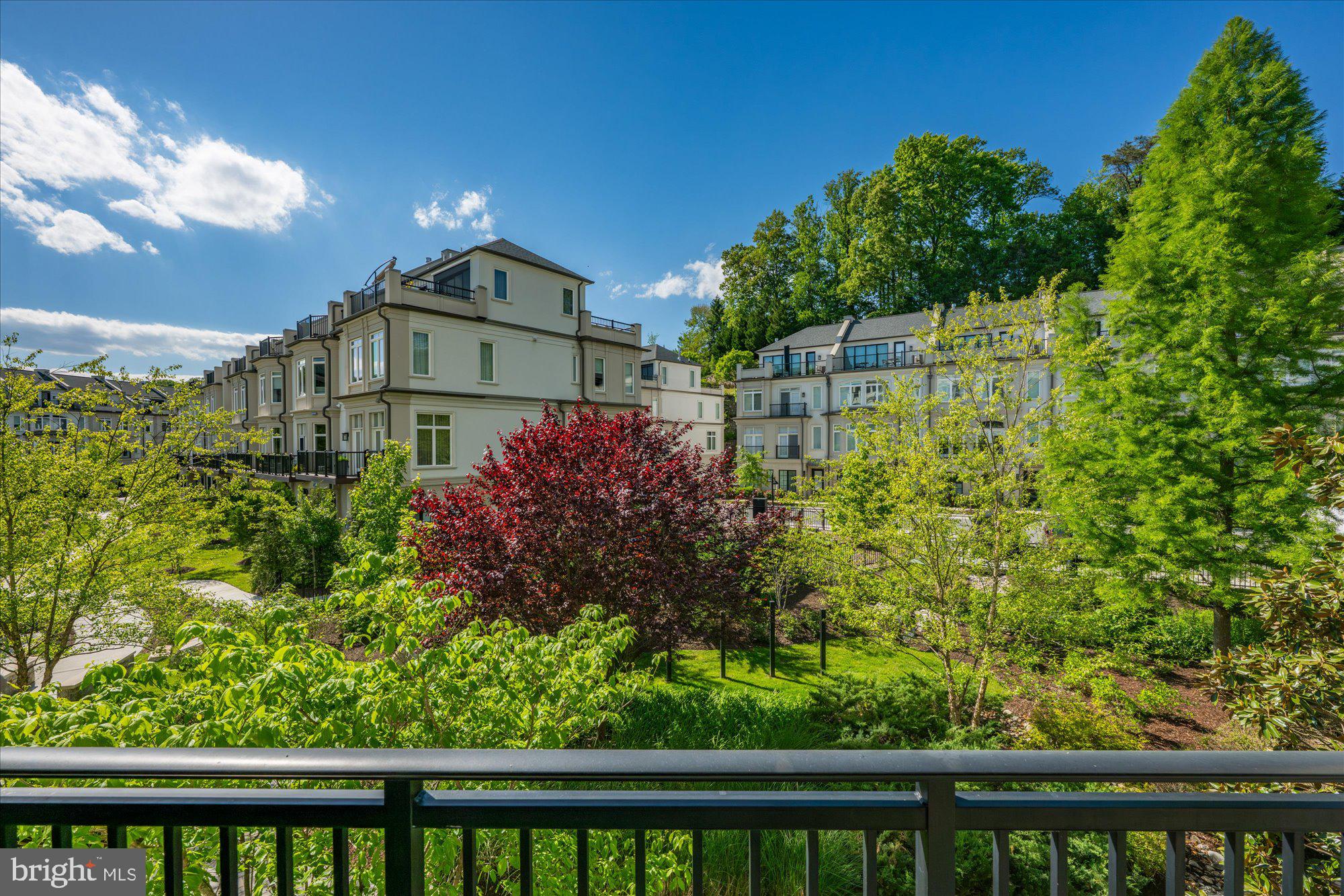 8121 River Road, Unit 423 Bethesda, MD 20817 - Photo 23 of 79 Views from Terrace