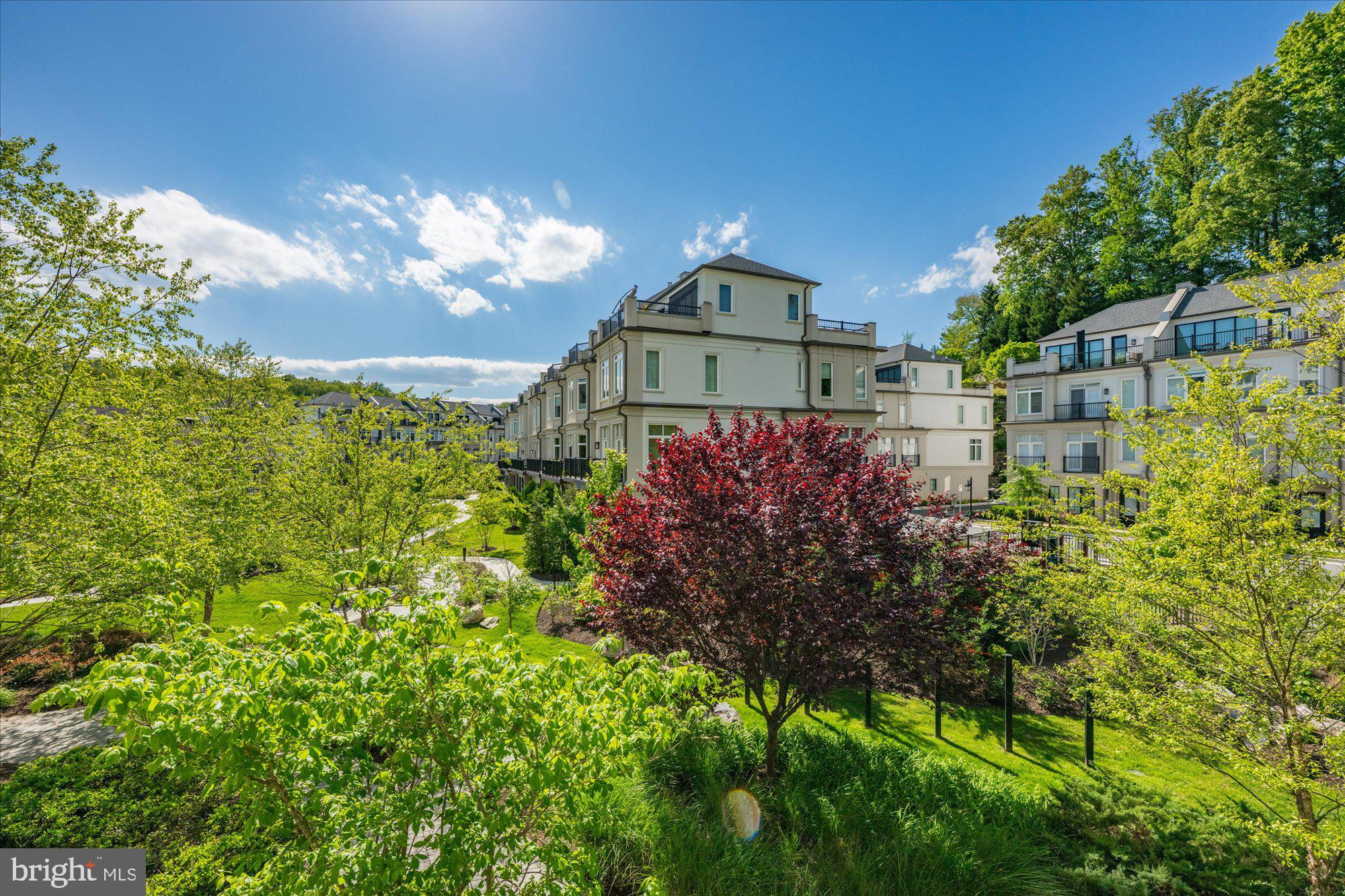 8121 River Road, Unit 423 Bethesda, MD 20817 - Photo 24 of 79 Views from Terrace
