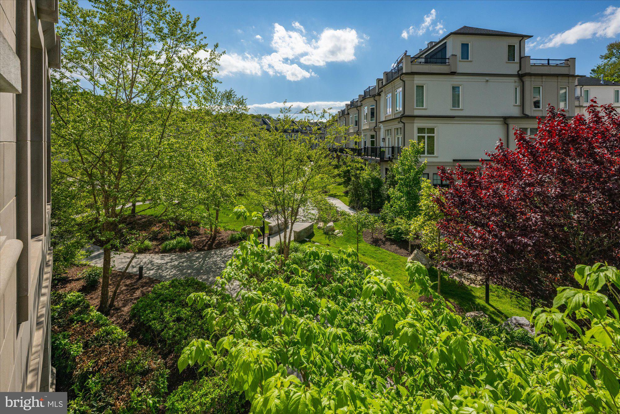 8121 River Road, Unit 423 Bethesda, MD 20817 - Photo 25 of 79 Views from Terrace