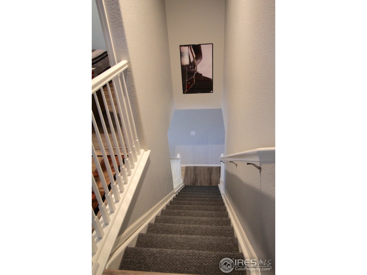 10660 Upper Ridge Road Longmont, CO 80504 - Photo 22 of 26 new carpet on stairs