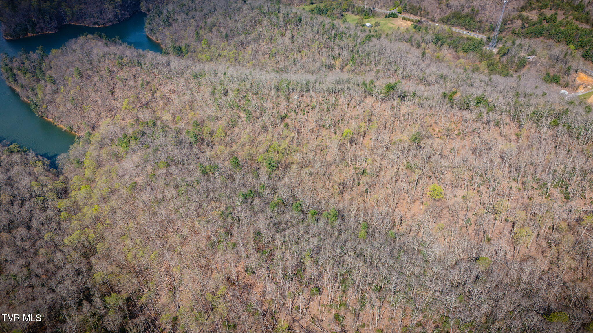 67 Butler Tn 37640 Butler, TN 37640 - Photo 11 of 31 _Pic11 (50)