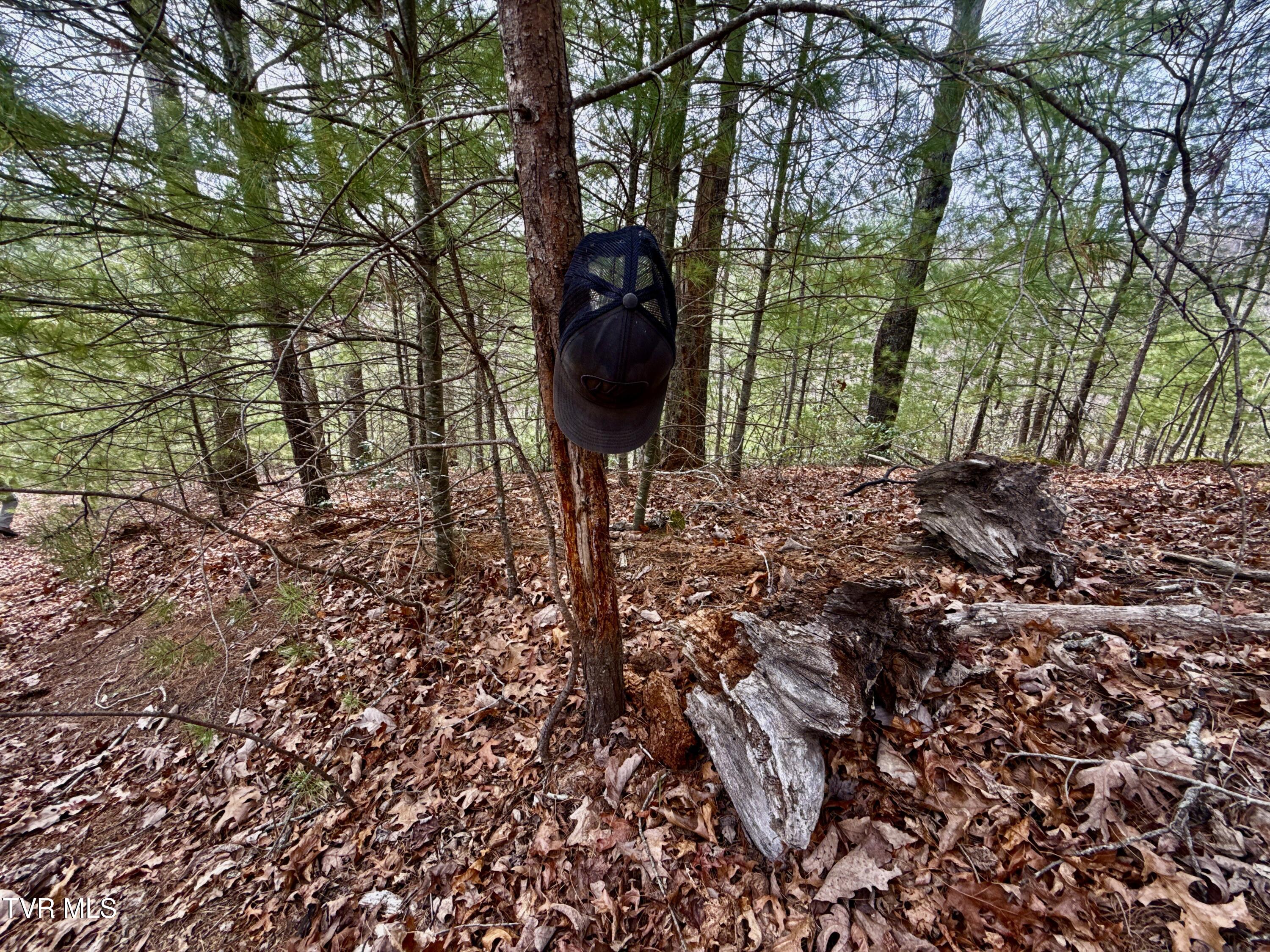 67 Butler Tn 37640 Butler, TN 37640 - Photo 18 of 31 _Pic18 (41)