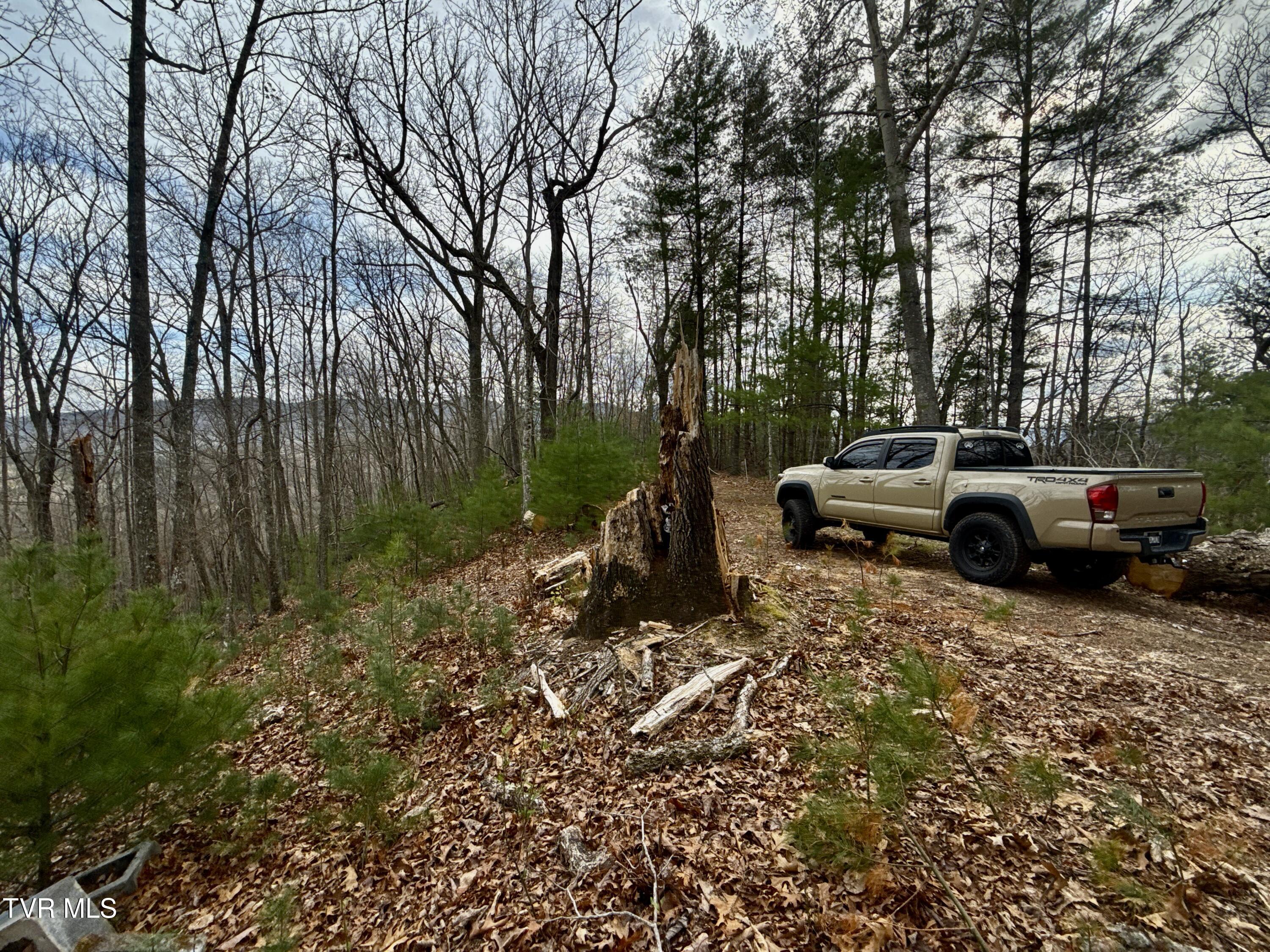67 Butler Tn 37640 Butler, TN 37640 - Photo 20 of 31 _Pic20 (39)
