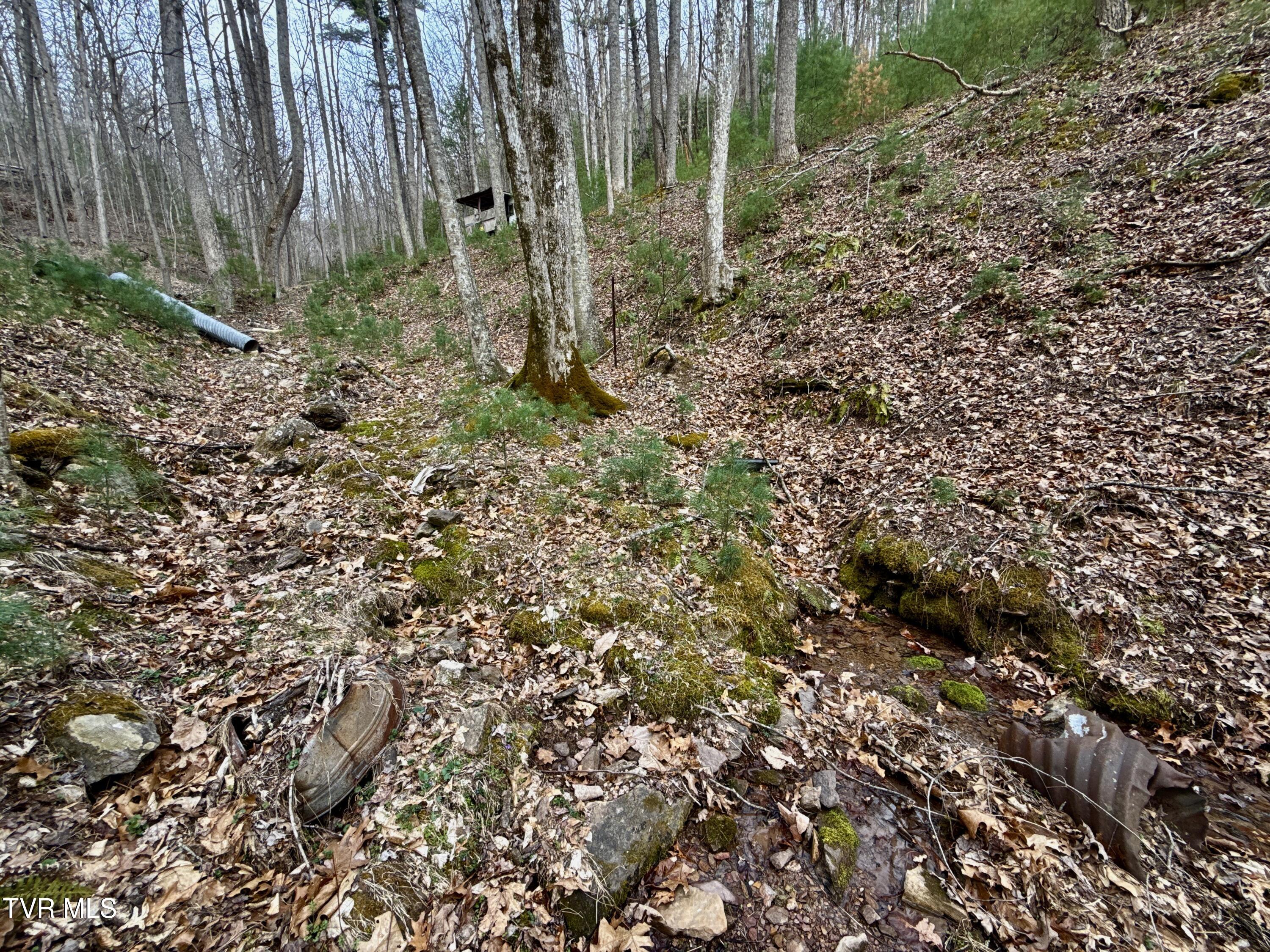 67 Butler Tn 37640 Butler, TN 37640 - Photo 22 of 31 _Pic22 (32)