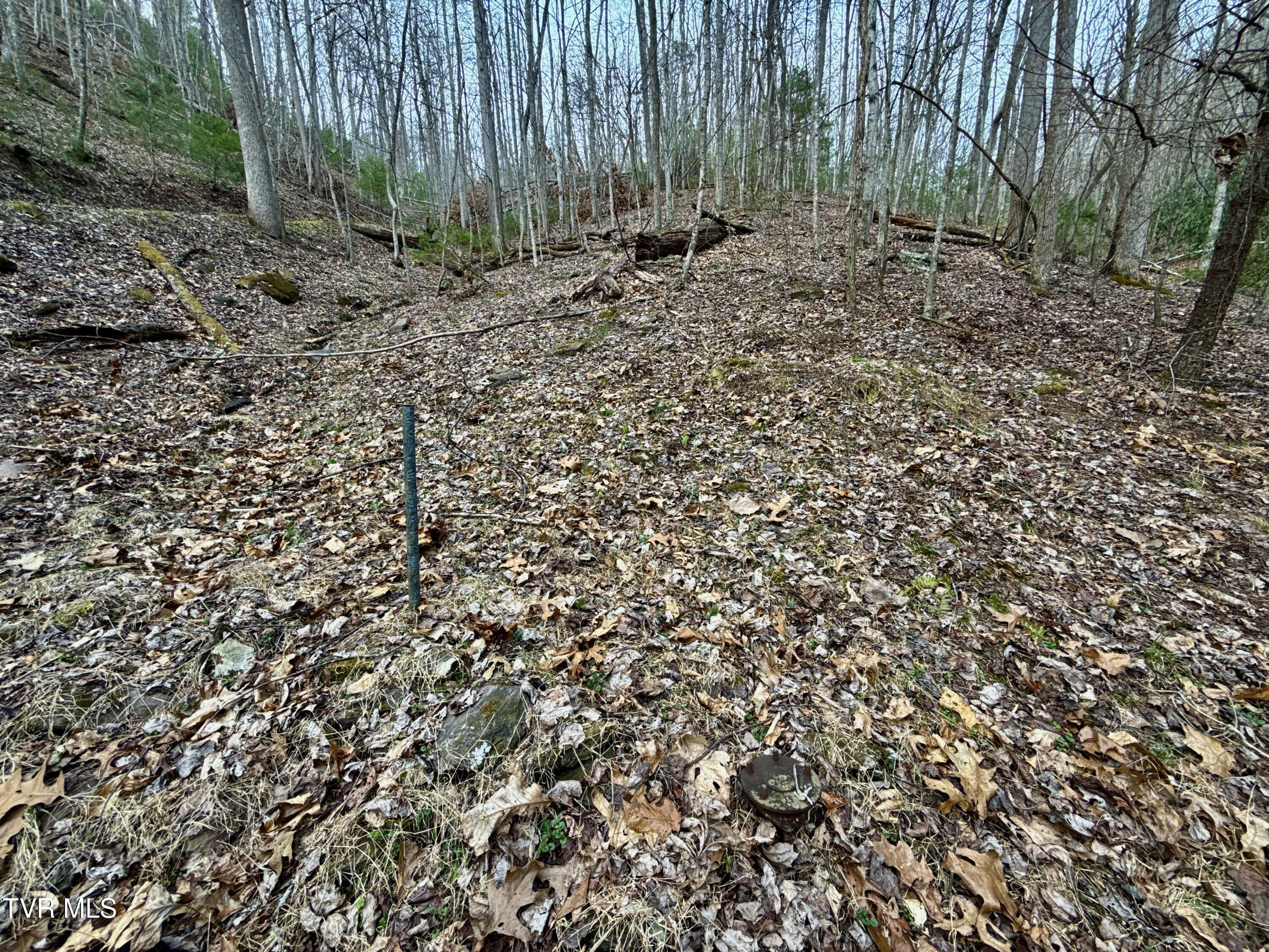 67 Butler Tn 37640 Butler, TN 37640 - Photo 23 of 31 _Pic23 (33)