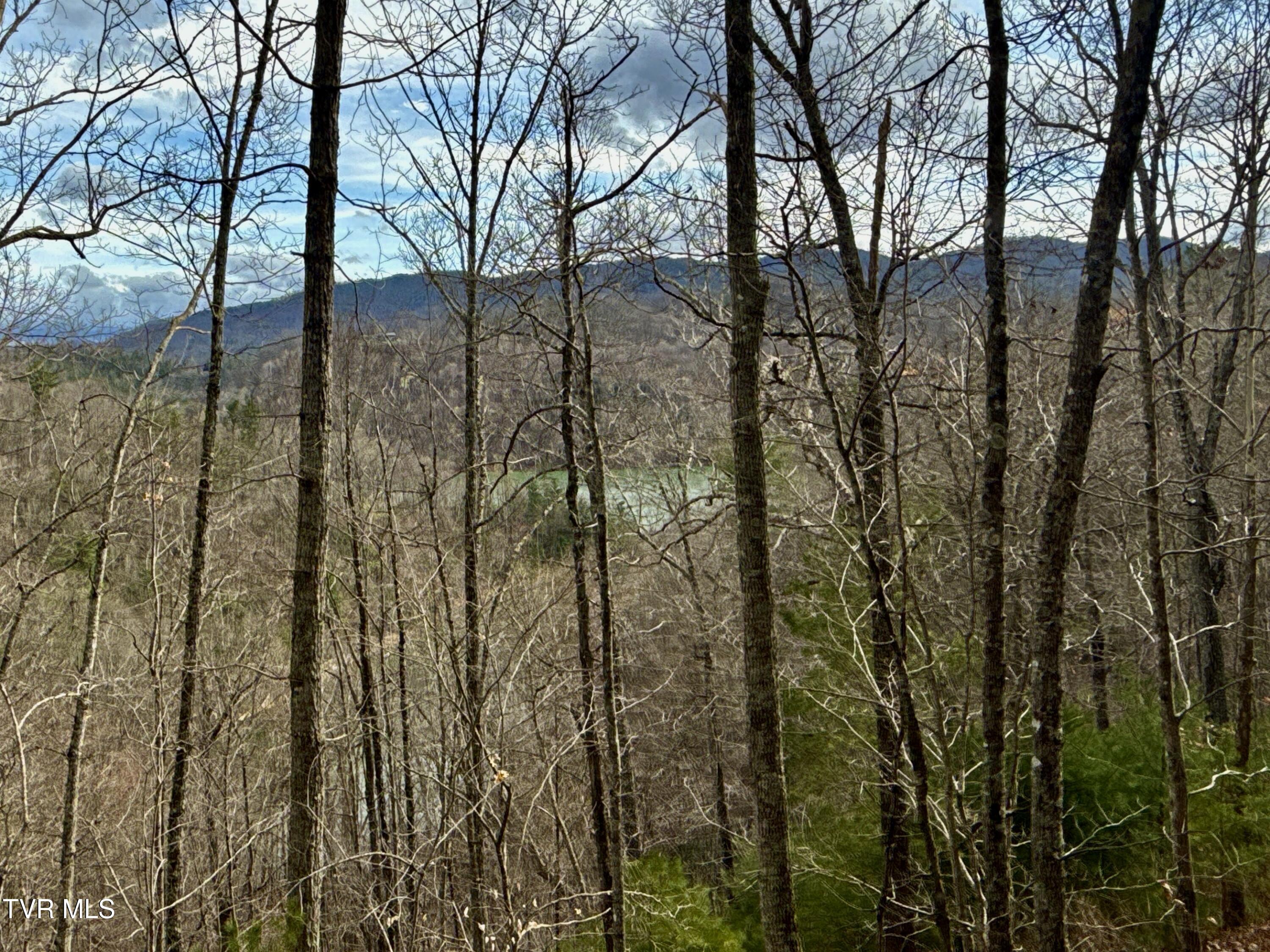 67 Butler Tn 37640 Butler, TN 37640 - Photo 24 of 31 _Pic24 (29)