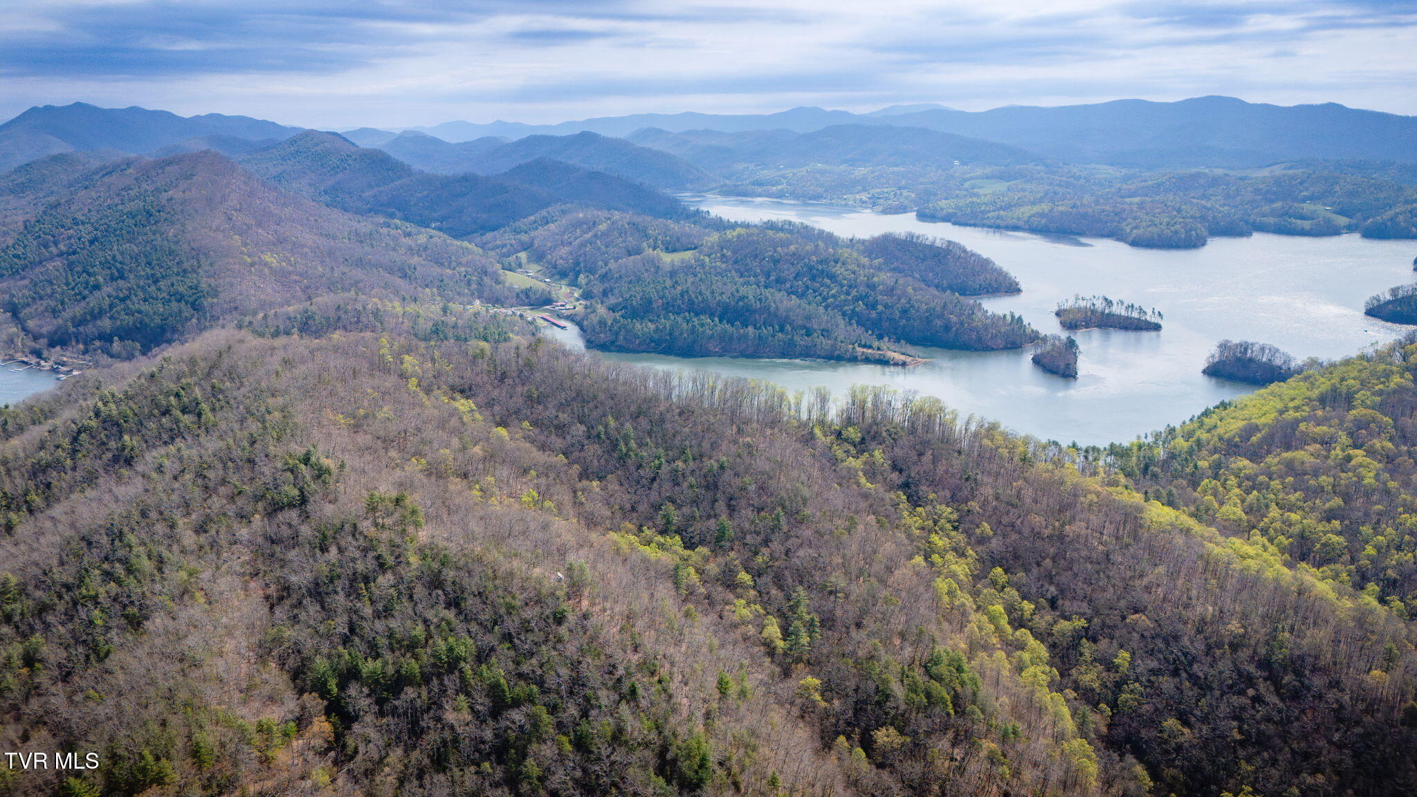 67 Butler Tn 37640 Butler, TN 37640 - Photo 4 of 31 _Pic4 (61)