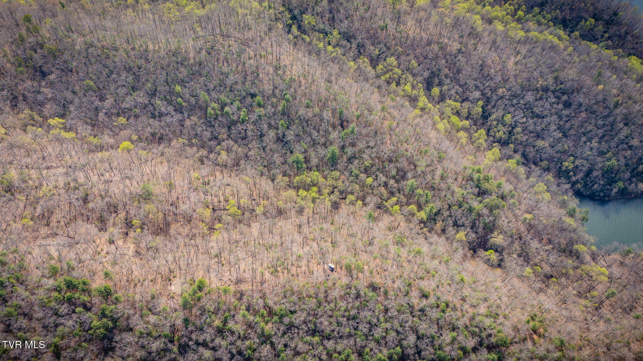 67 Butler Tn 37640 Butler, TN 37640 - Photo 8 of 31 _Pic8 (54)