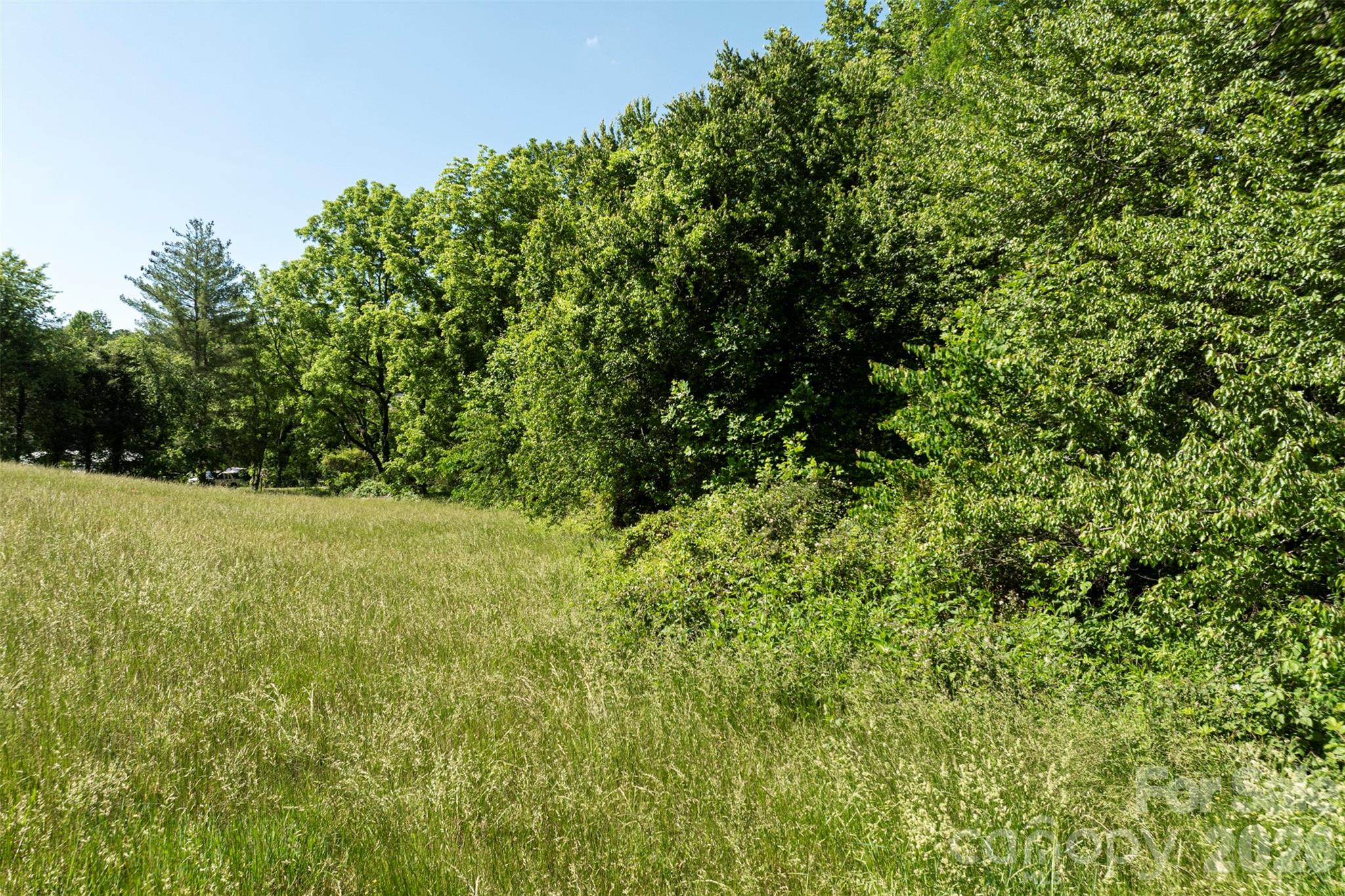 99999 Luther Road Candler, NC 28715 - Photo 14 of 14 Gallery Image 14