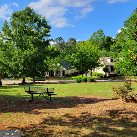 a view of a park with large trees