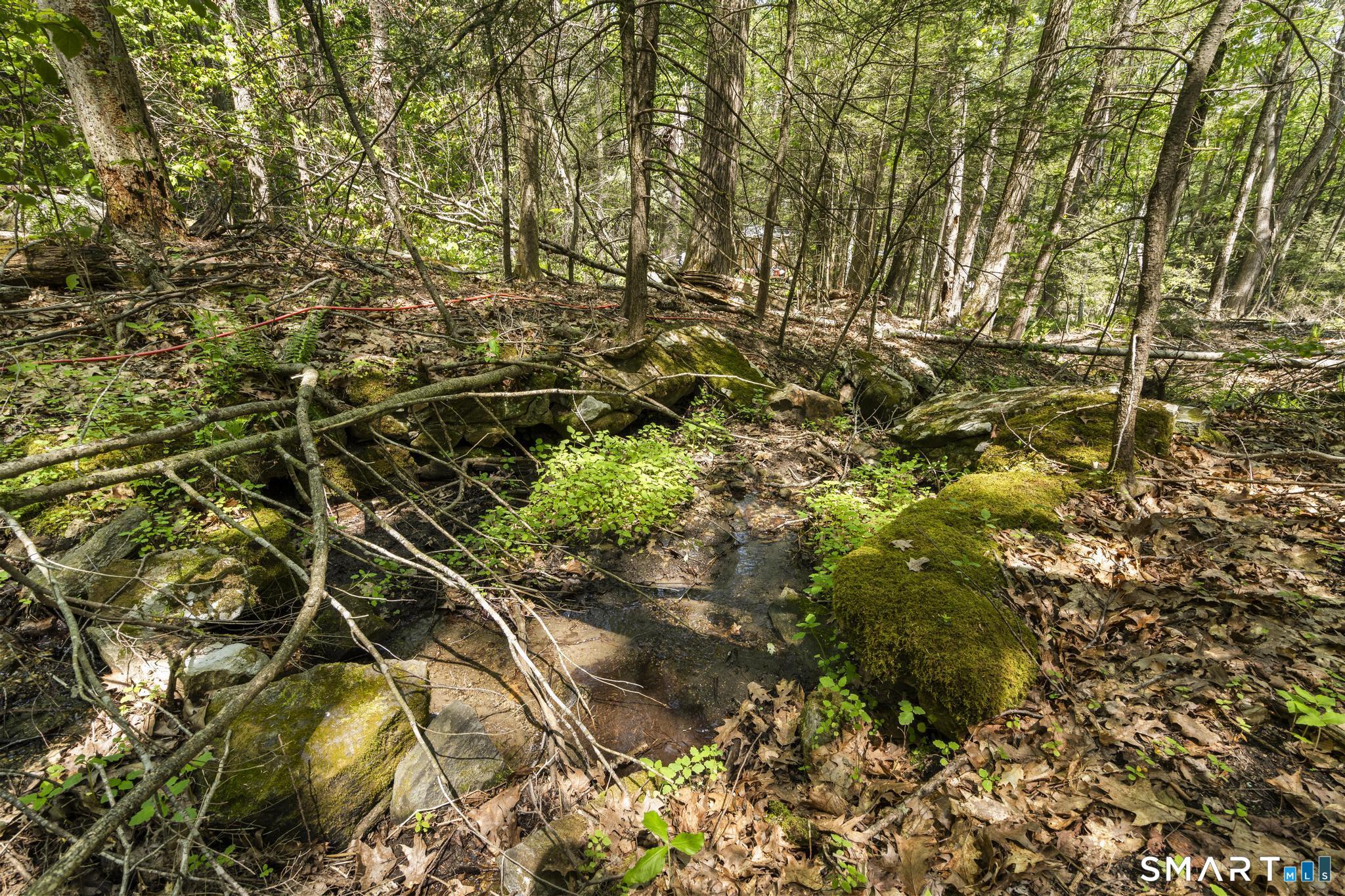 321 Colebrook Road Winchester, CT 06098 - Photo 19 of 39