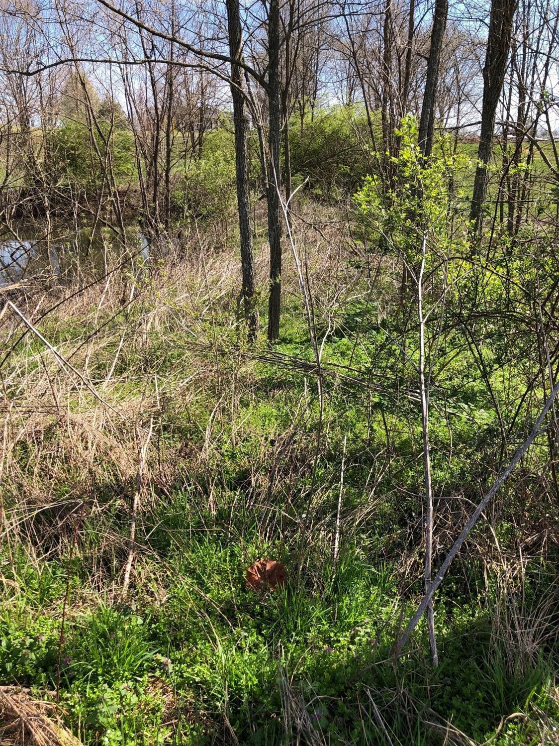 191 Agawam Road Winchester, KY 40391 - Photo 12 of 19 Photo 12