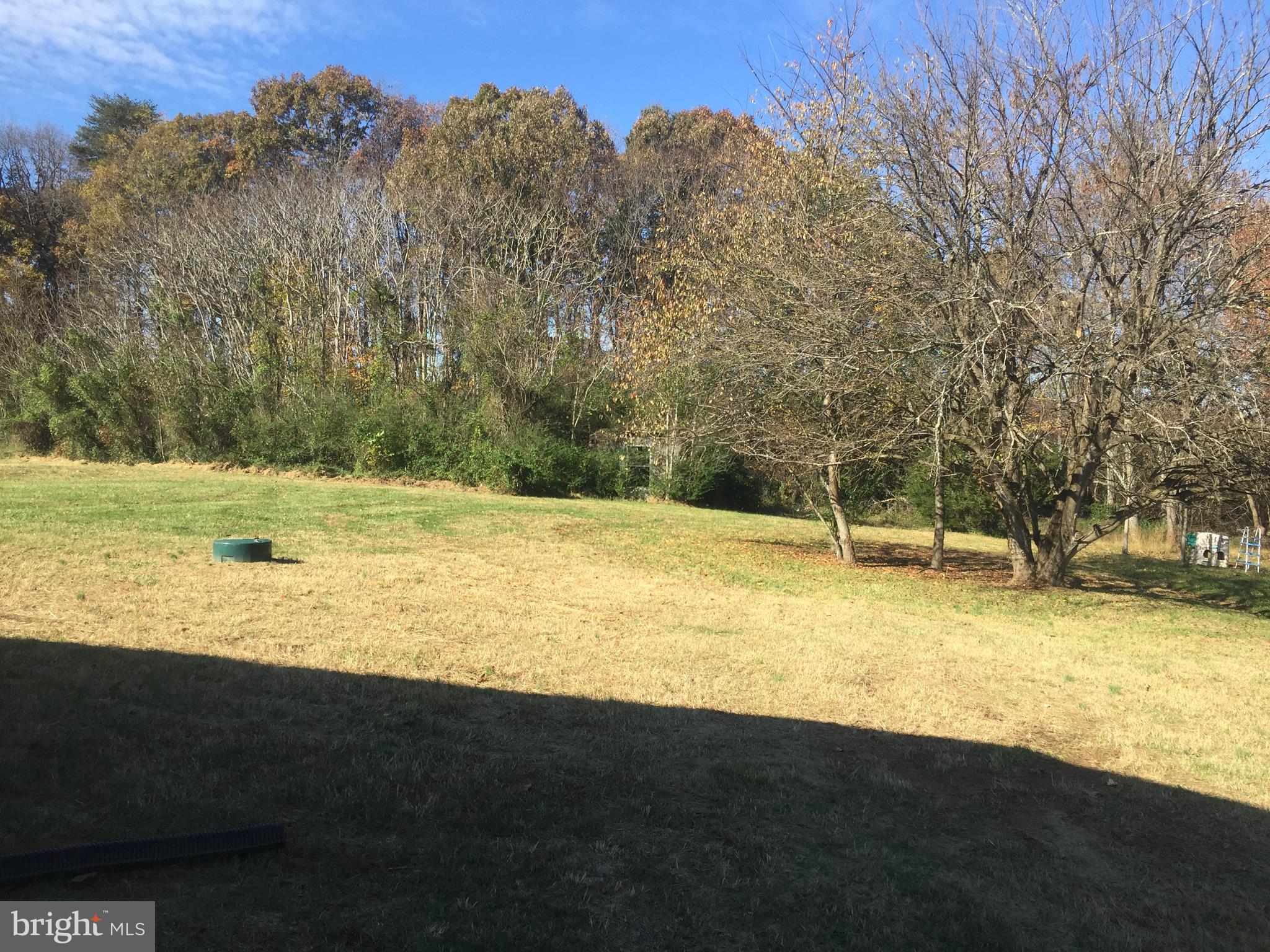 24155 Revercomb Road Lignum, VA 22726 - Photo 4 of 12 OPEN AND WOODED